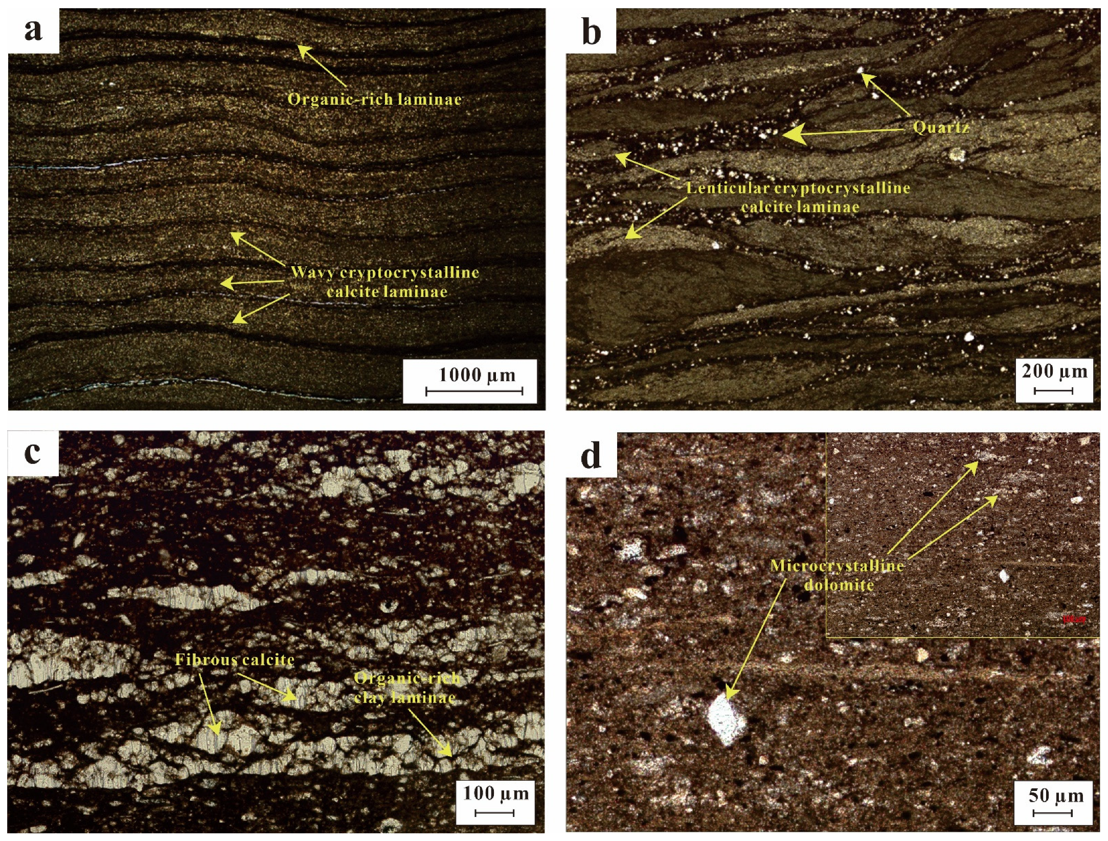 Minerals 14 00479 g007