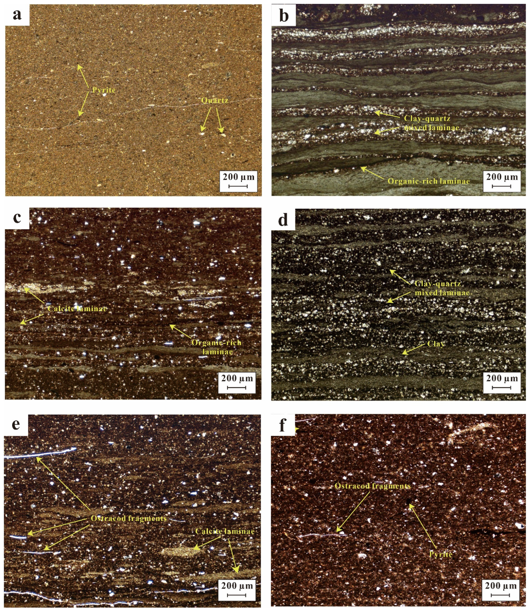 Minerals 14 00479 g008