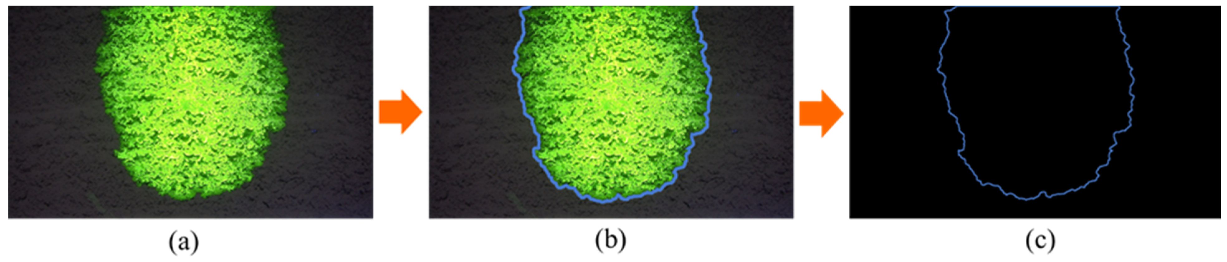 Minerals 14 00482 g003