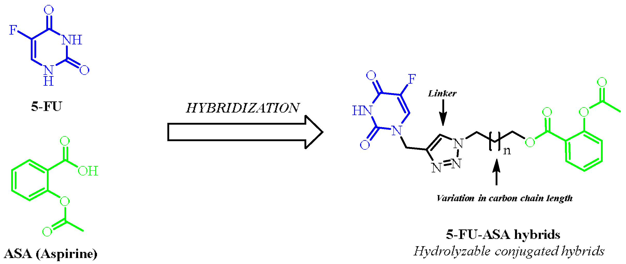 Molbank 2023 m1745 g001
