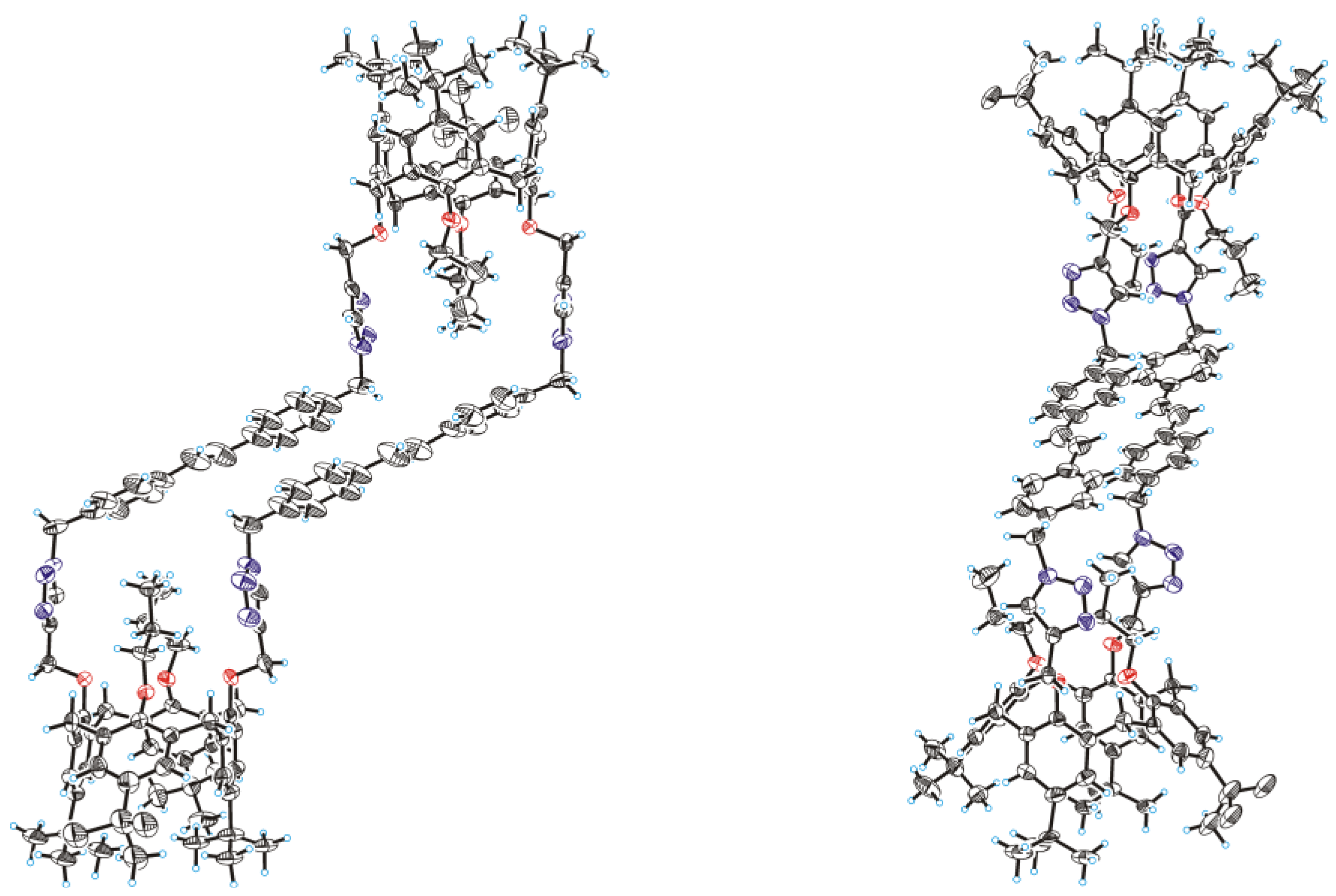 Molbank 2023 m1748 g003