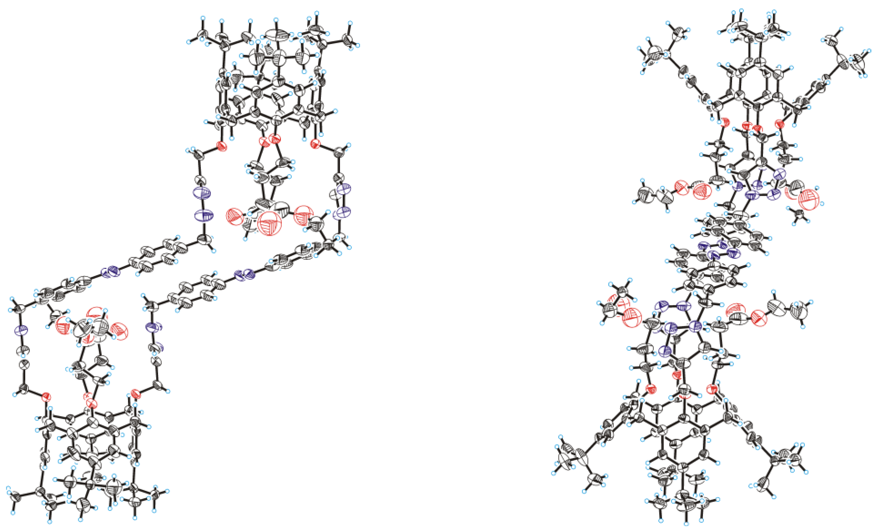 Molbank 2023 m1748 g005