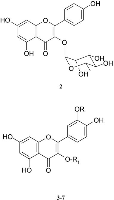Molecules 07 00245 i002