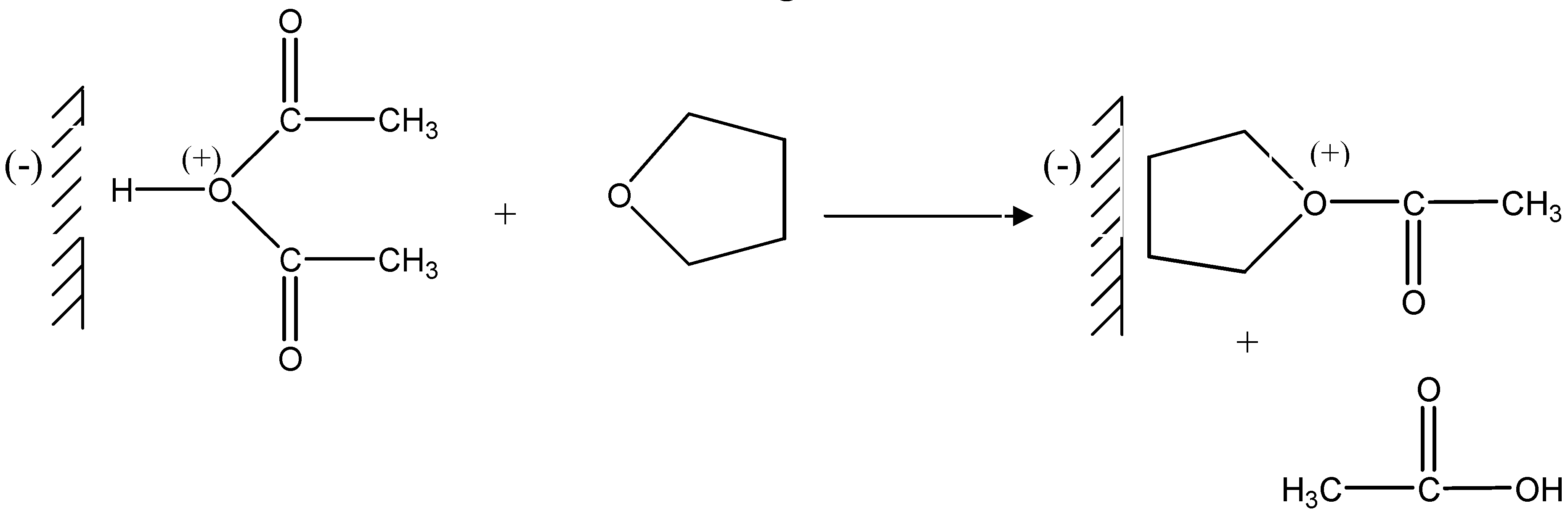Molecules 09 00968 g003
