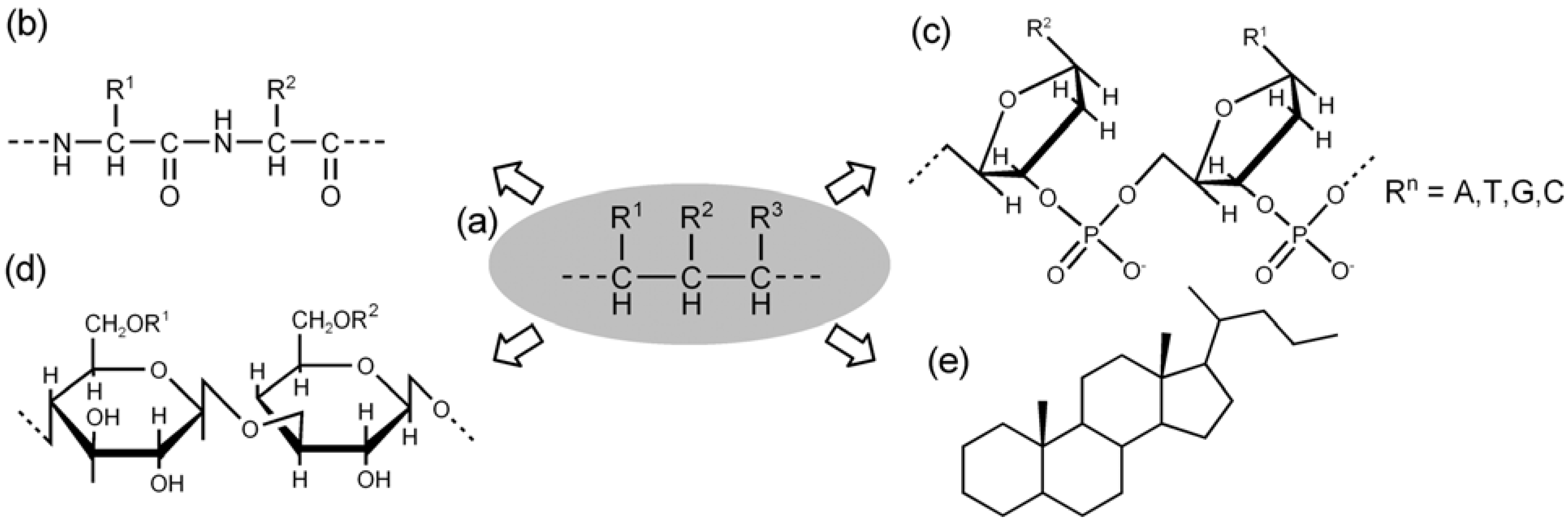 Molecules 12 01973 g007