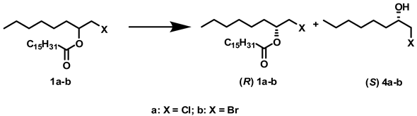 Molecules 14 04275 i002