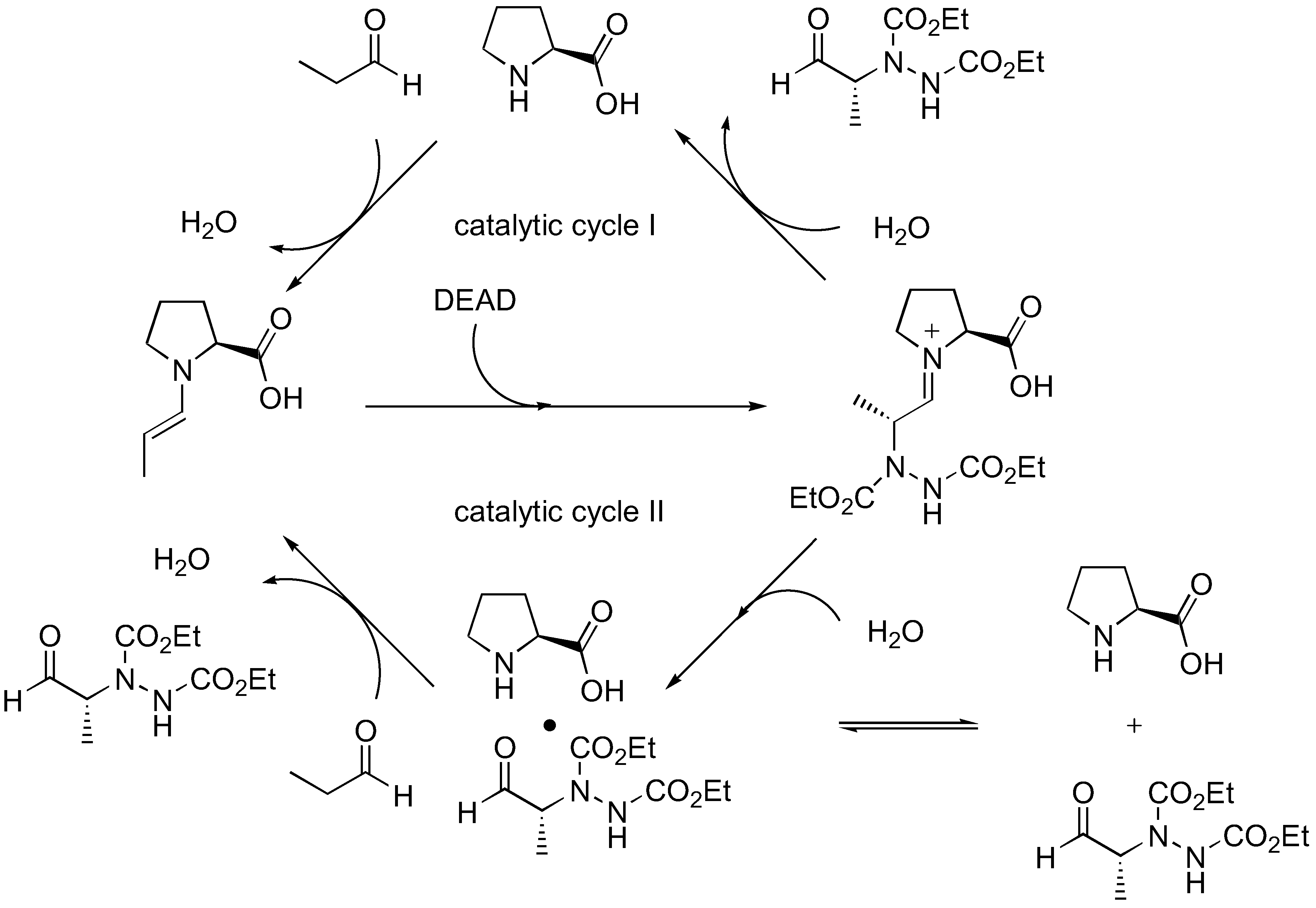 Molecules 15 00917 g006