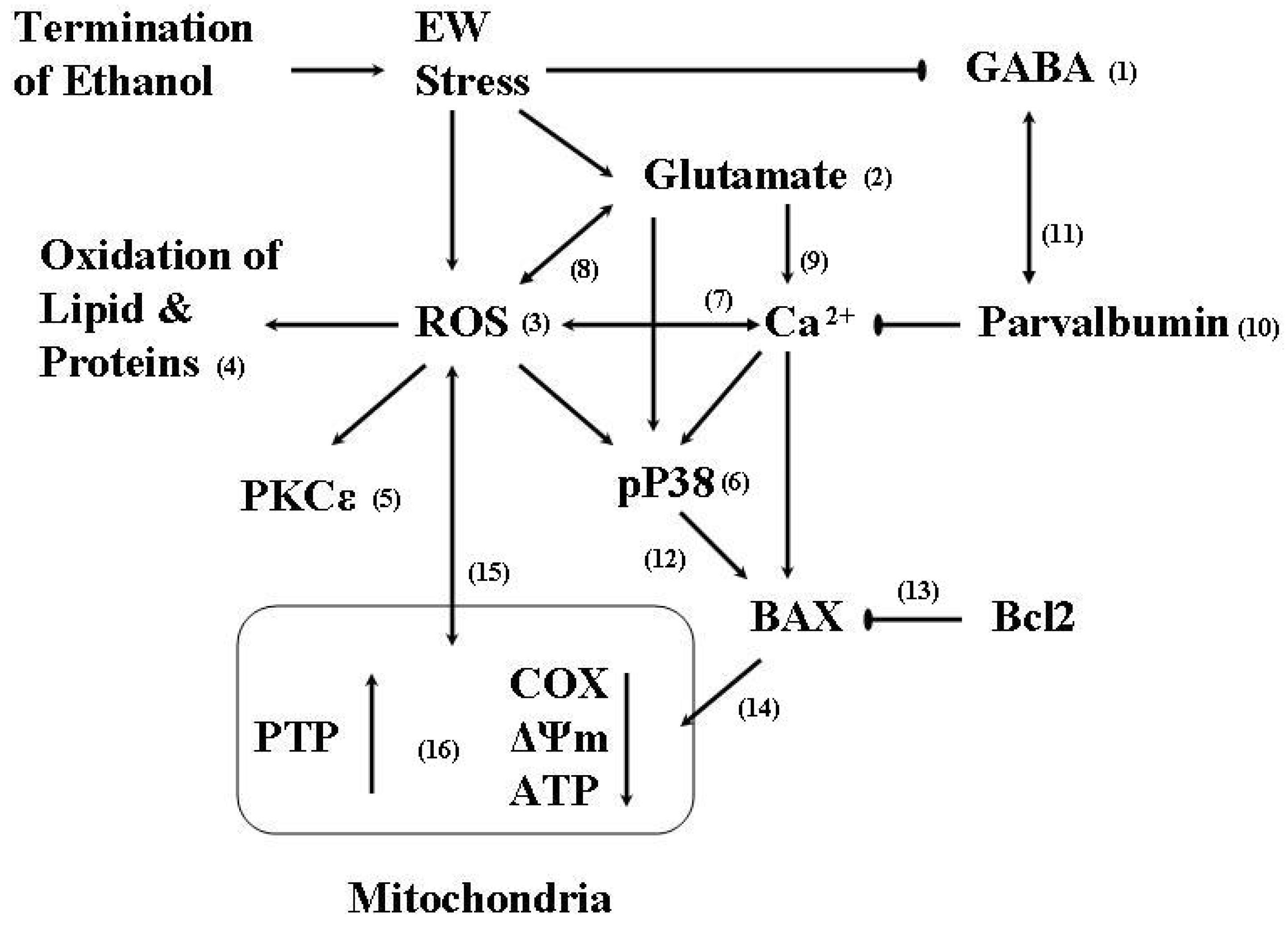 Molecules 15 04984 g004