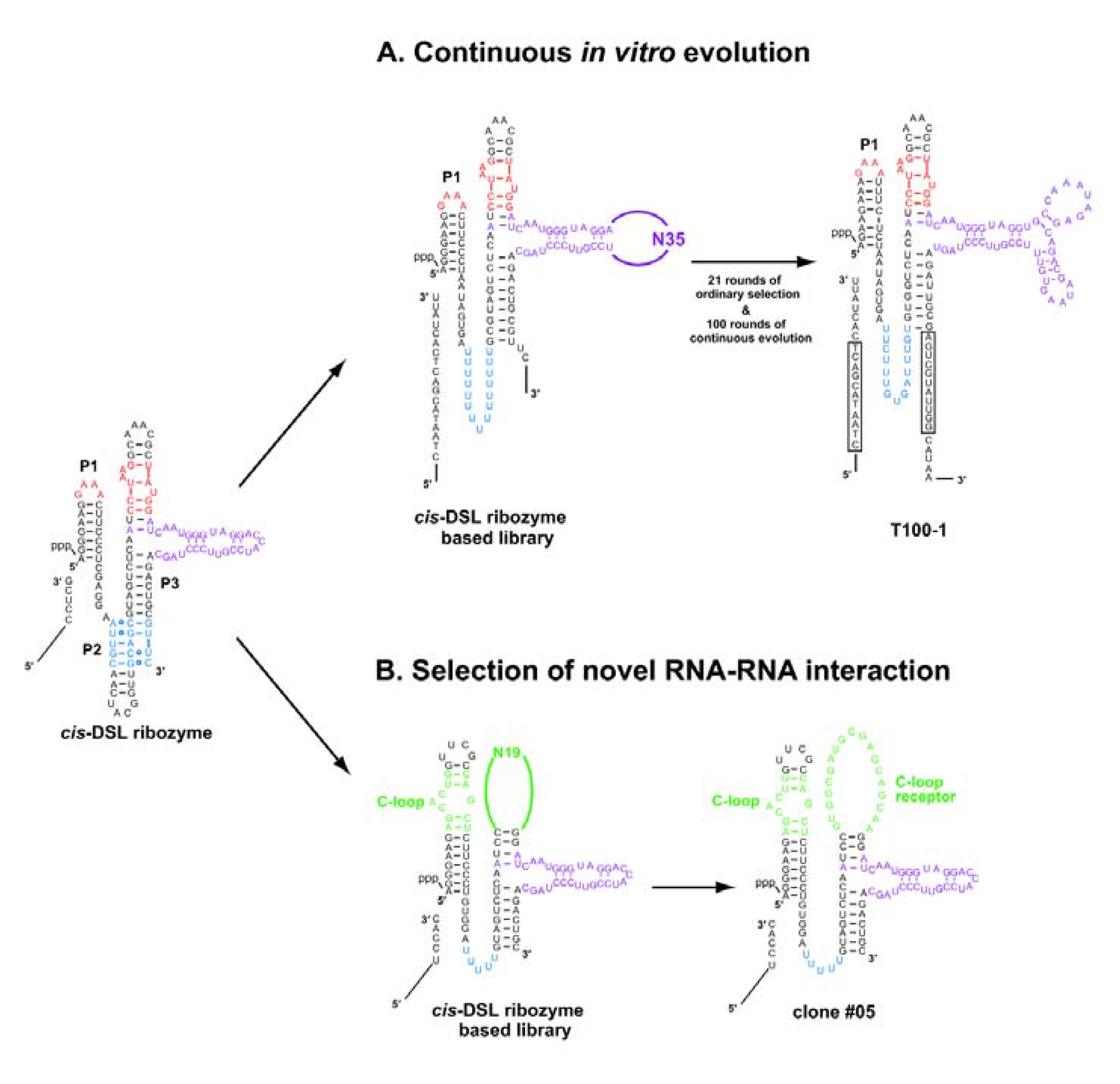 Molecules 15 05850 g006