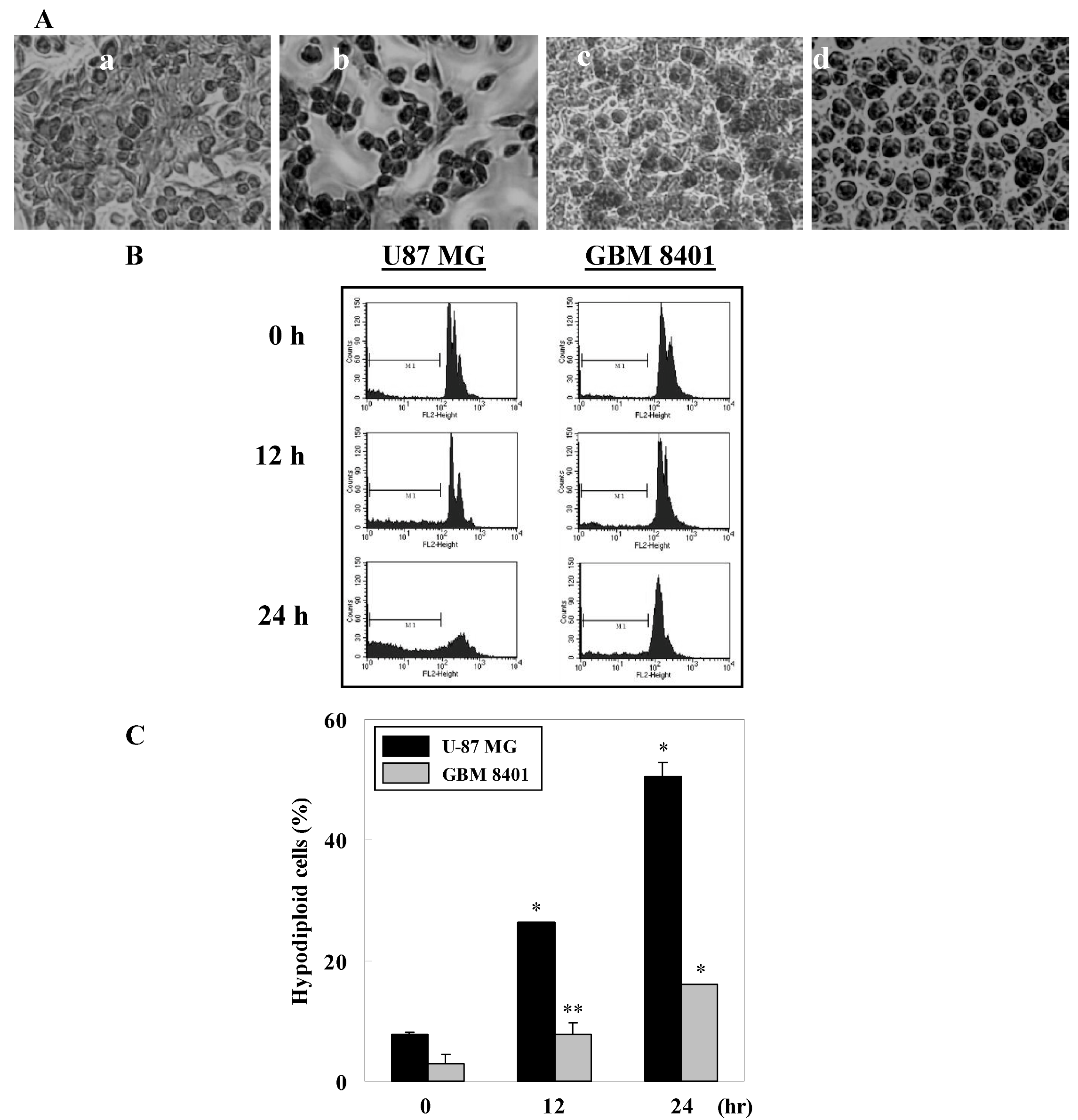 Molecules 15 08953 g002