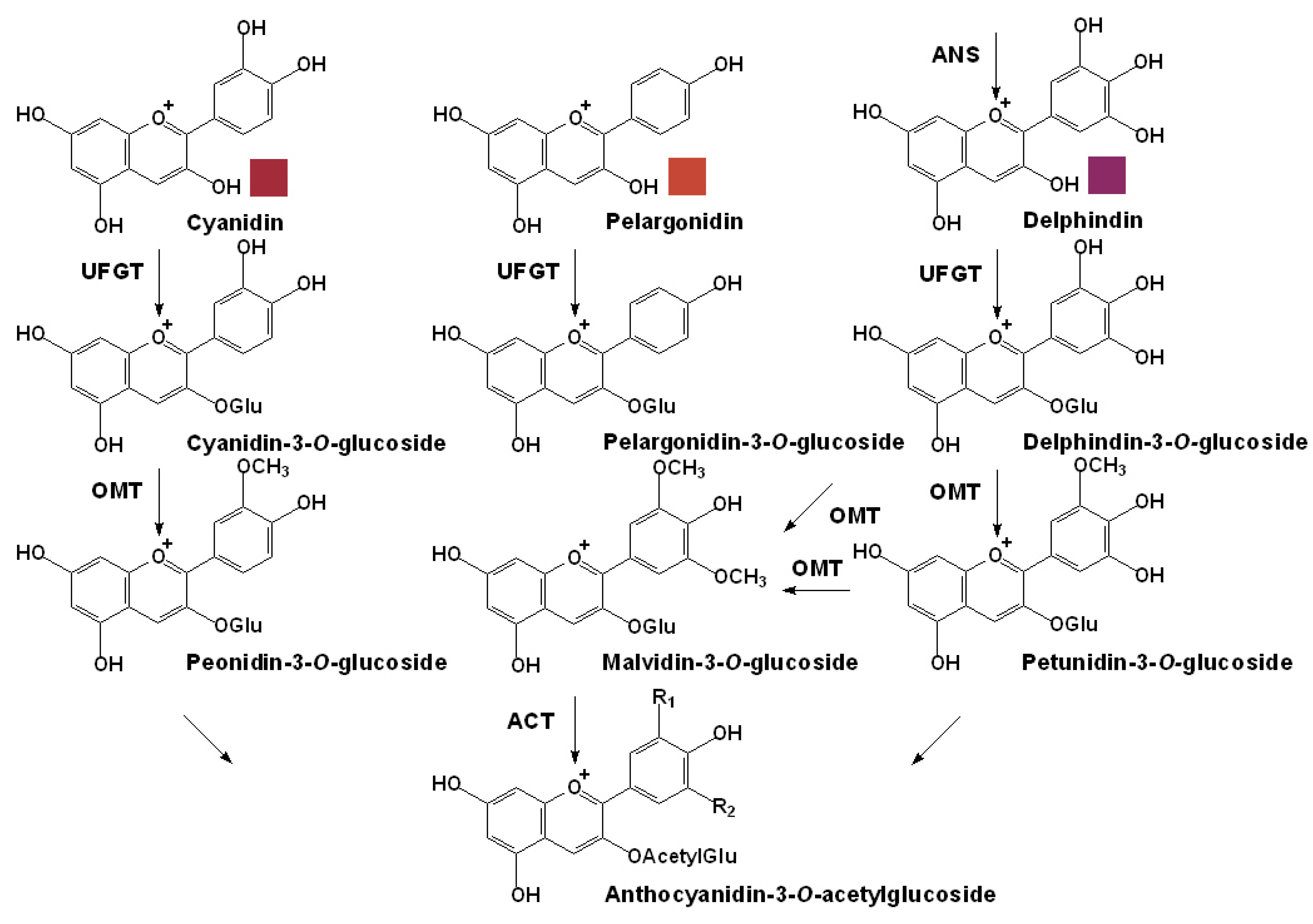 Molecules 15 09057 g005