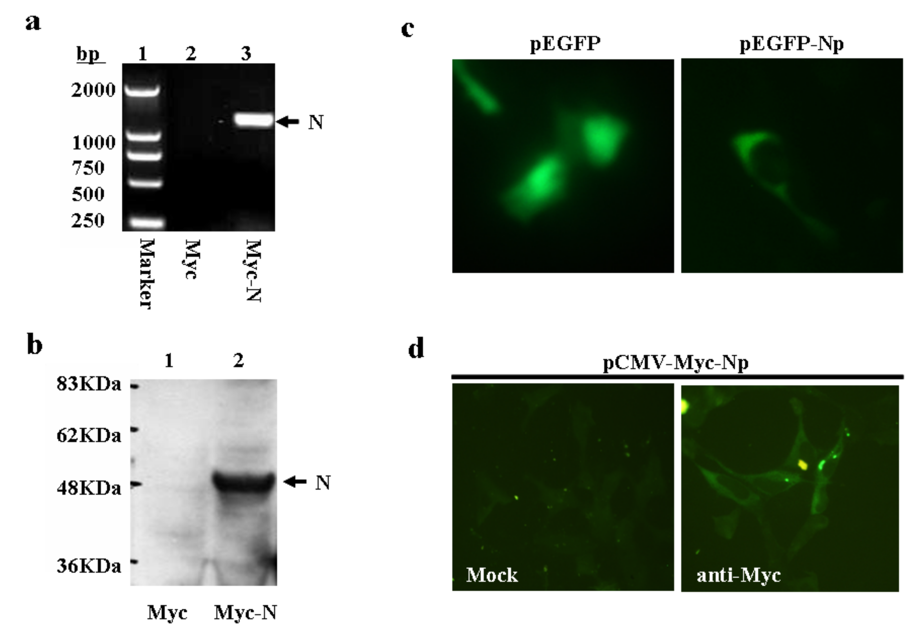 Molecules 16 01544 g002 Molecules 16 01544 g002