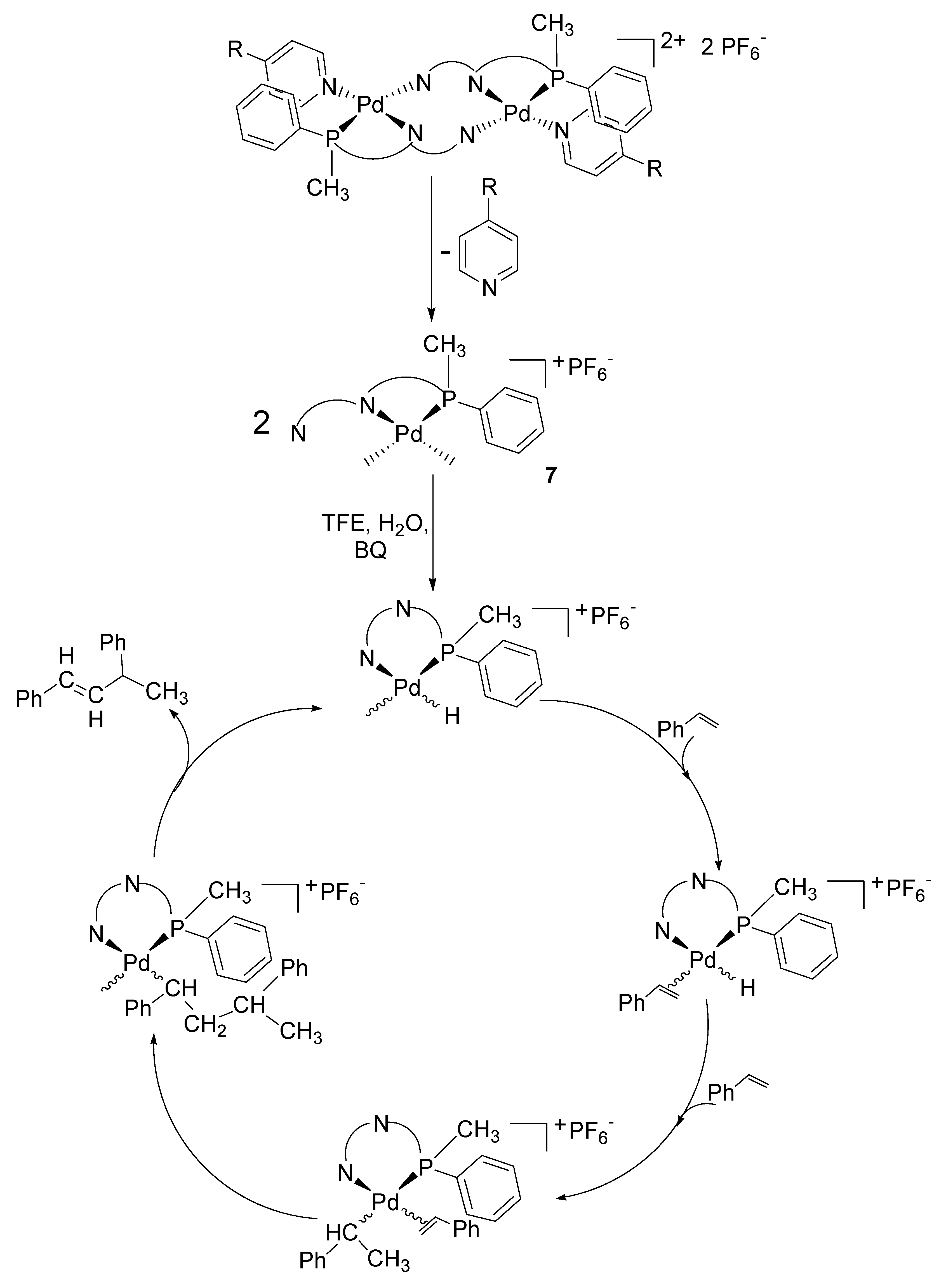 Molecules 16 01804 g012