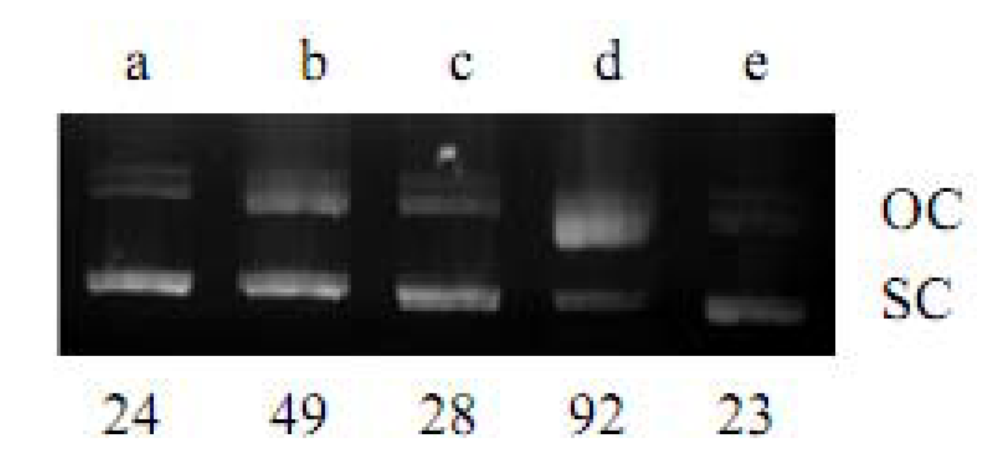 Molecules 16 03212 g004
