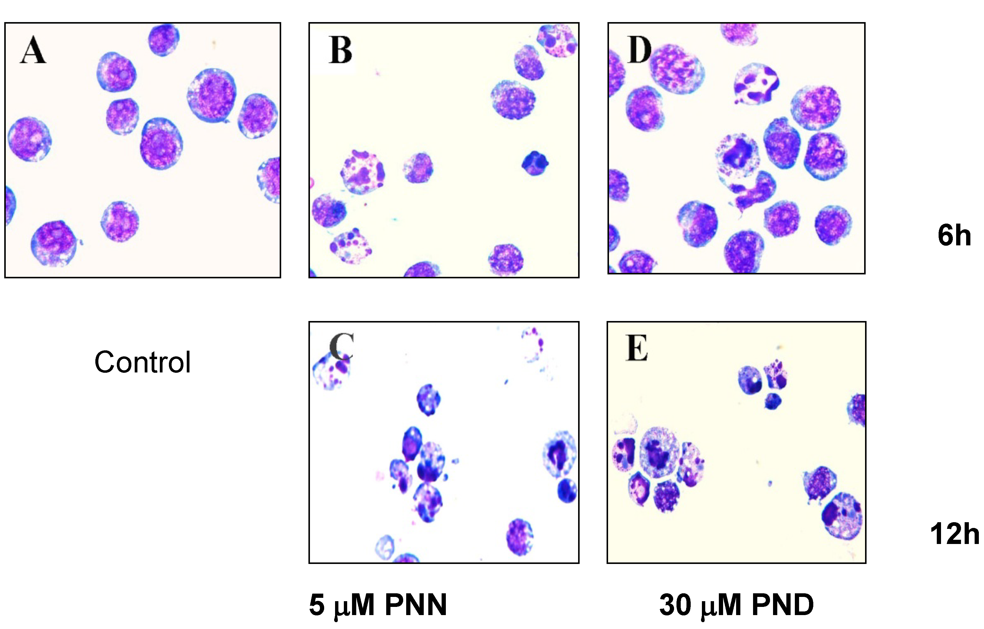 Molecules 16 05561 g003
