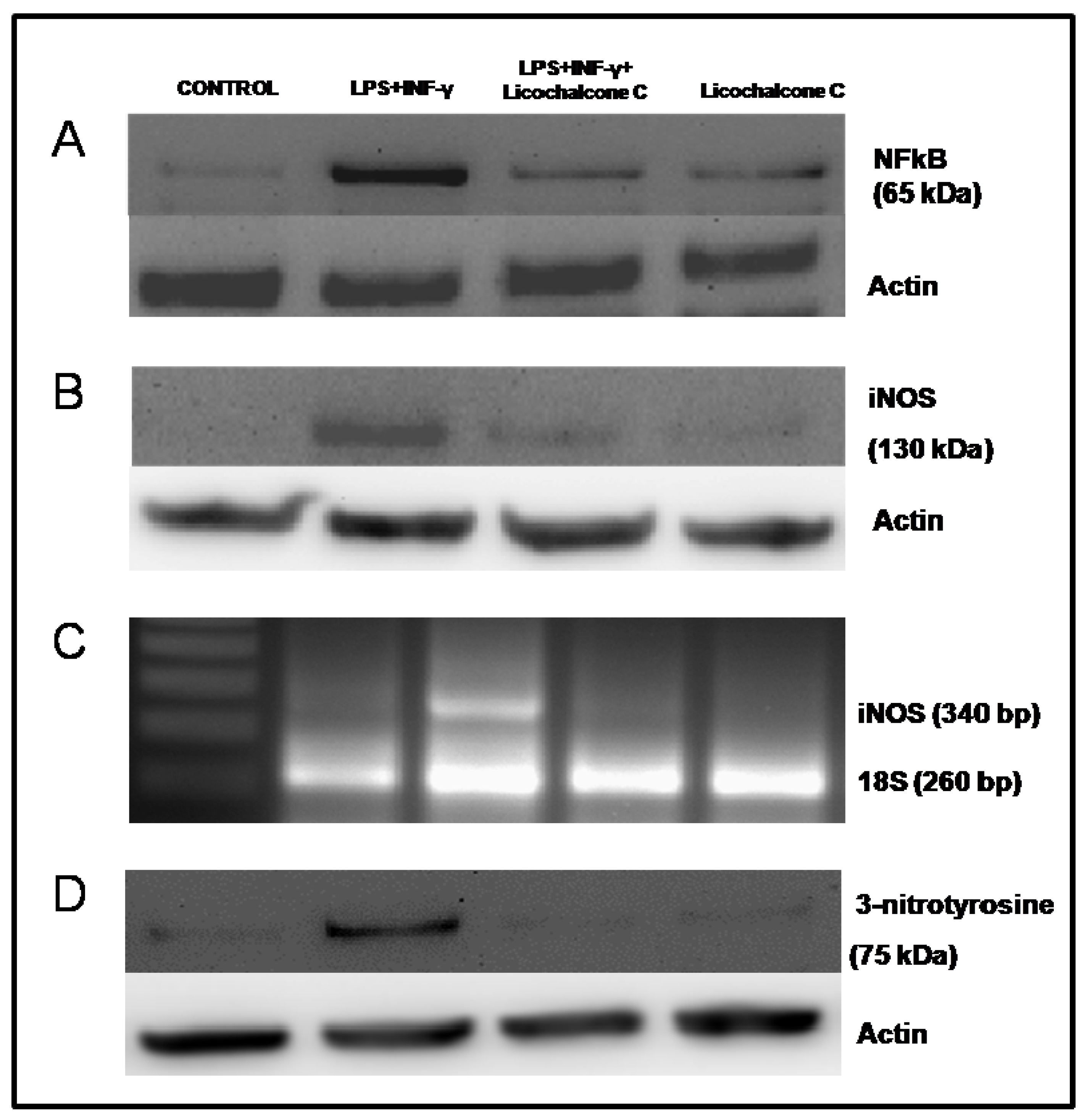 Molecules 16 05720 g004