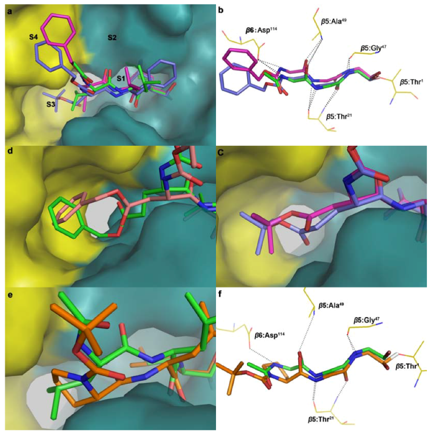 Molecules 16 07551 g002