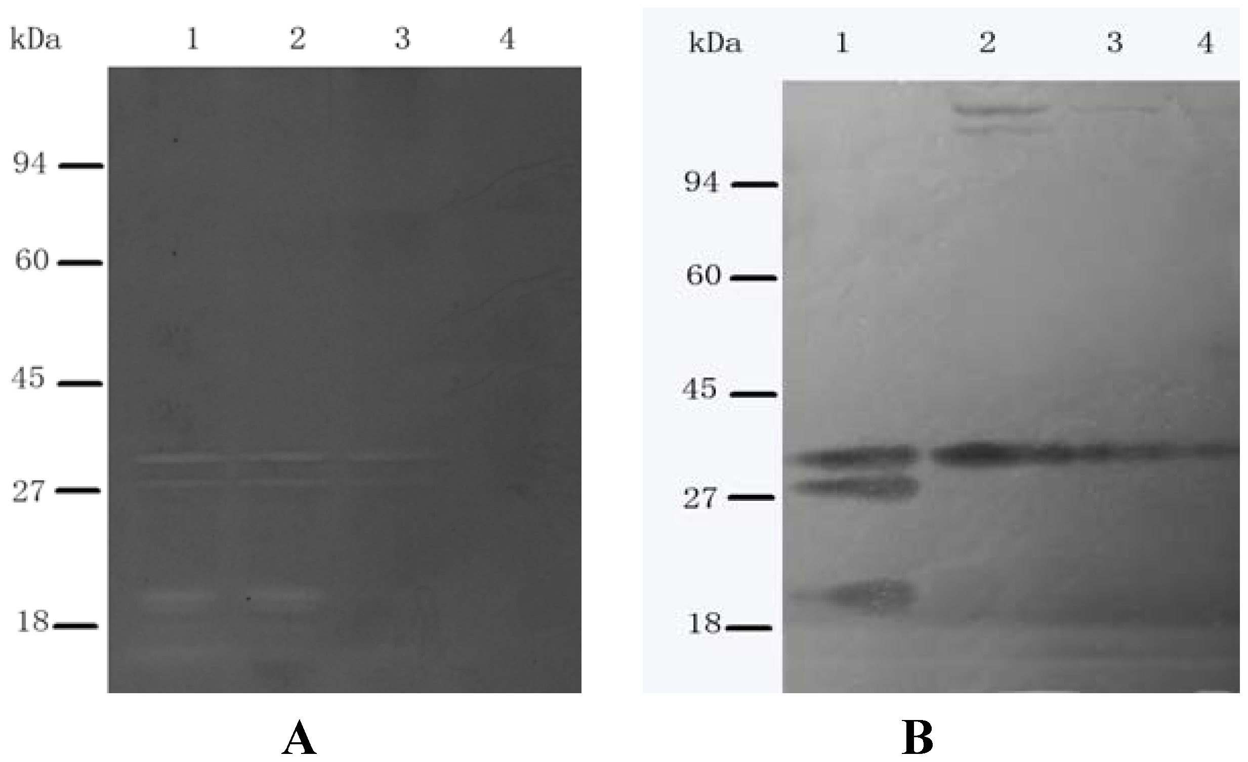 Molecules 16 08848 g004