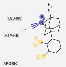 Molecules 16 10227 i234