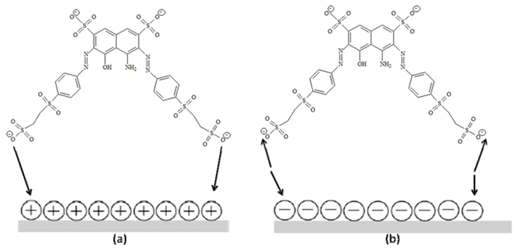Molecules 16 10370 g006