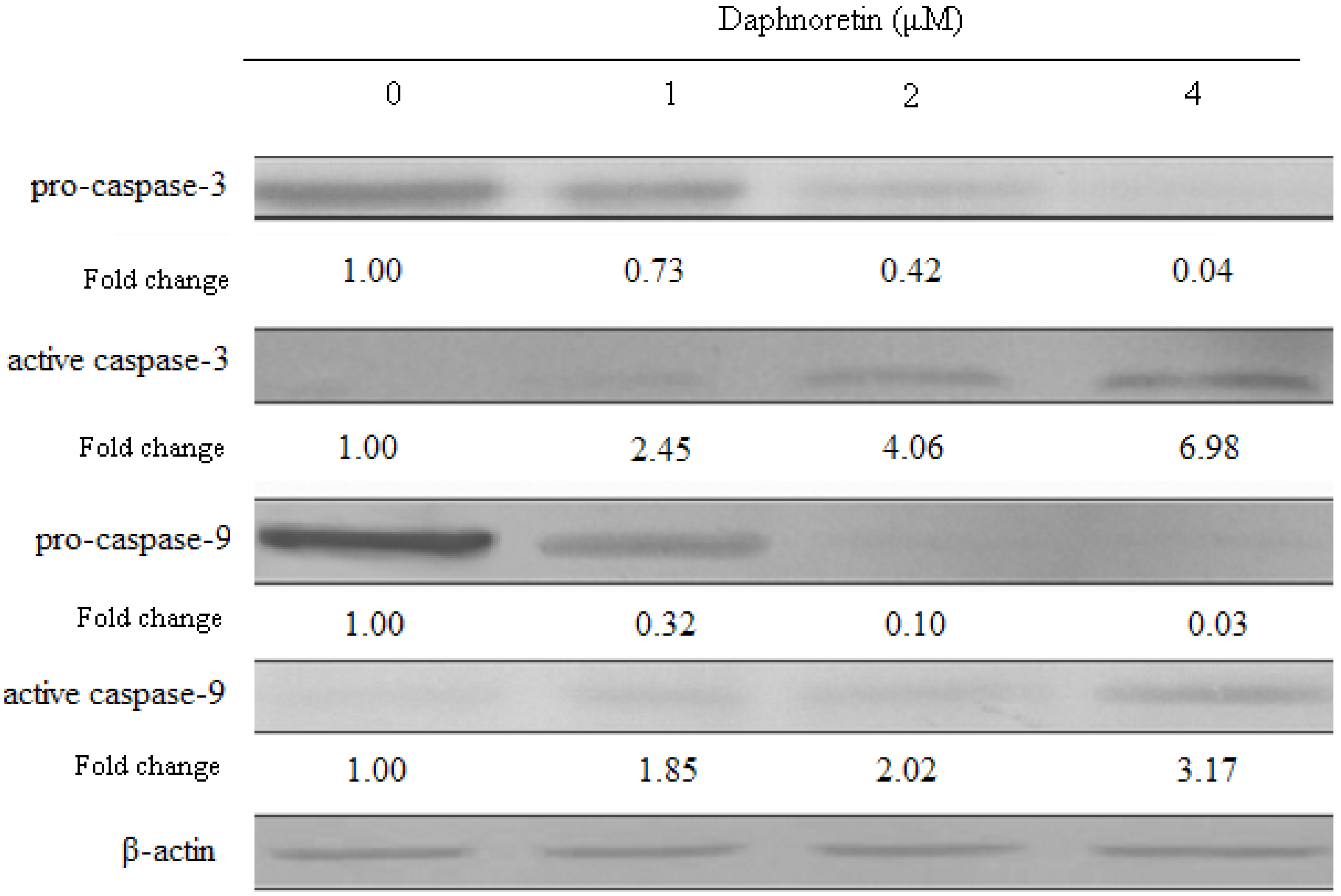 Molecules 17 00598 g008