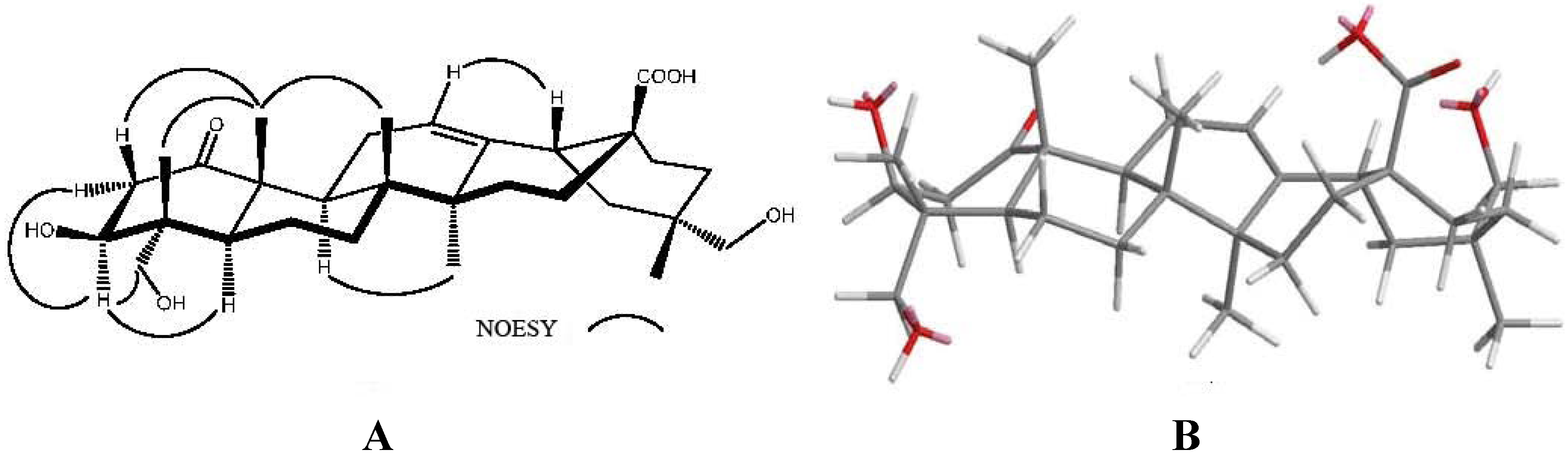 Molecules 17 01837 g003