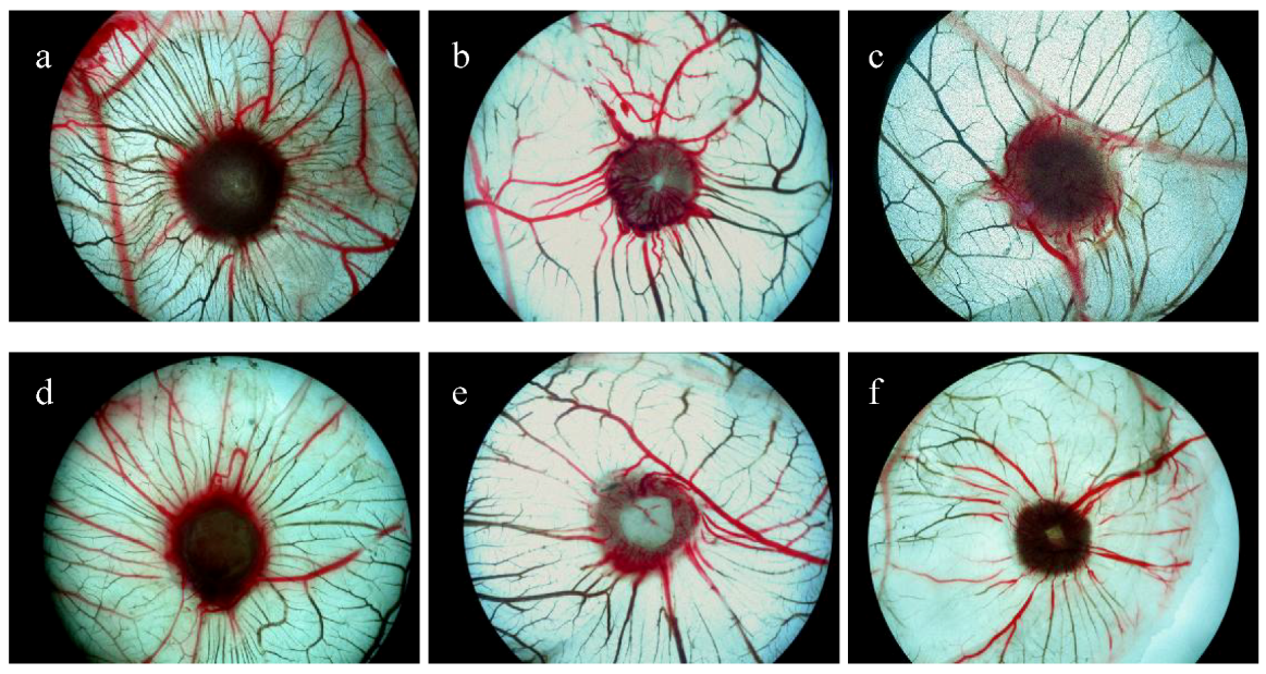 Molecules 17 04972 g001