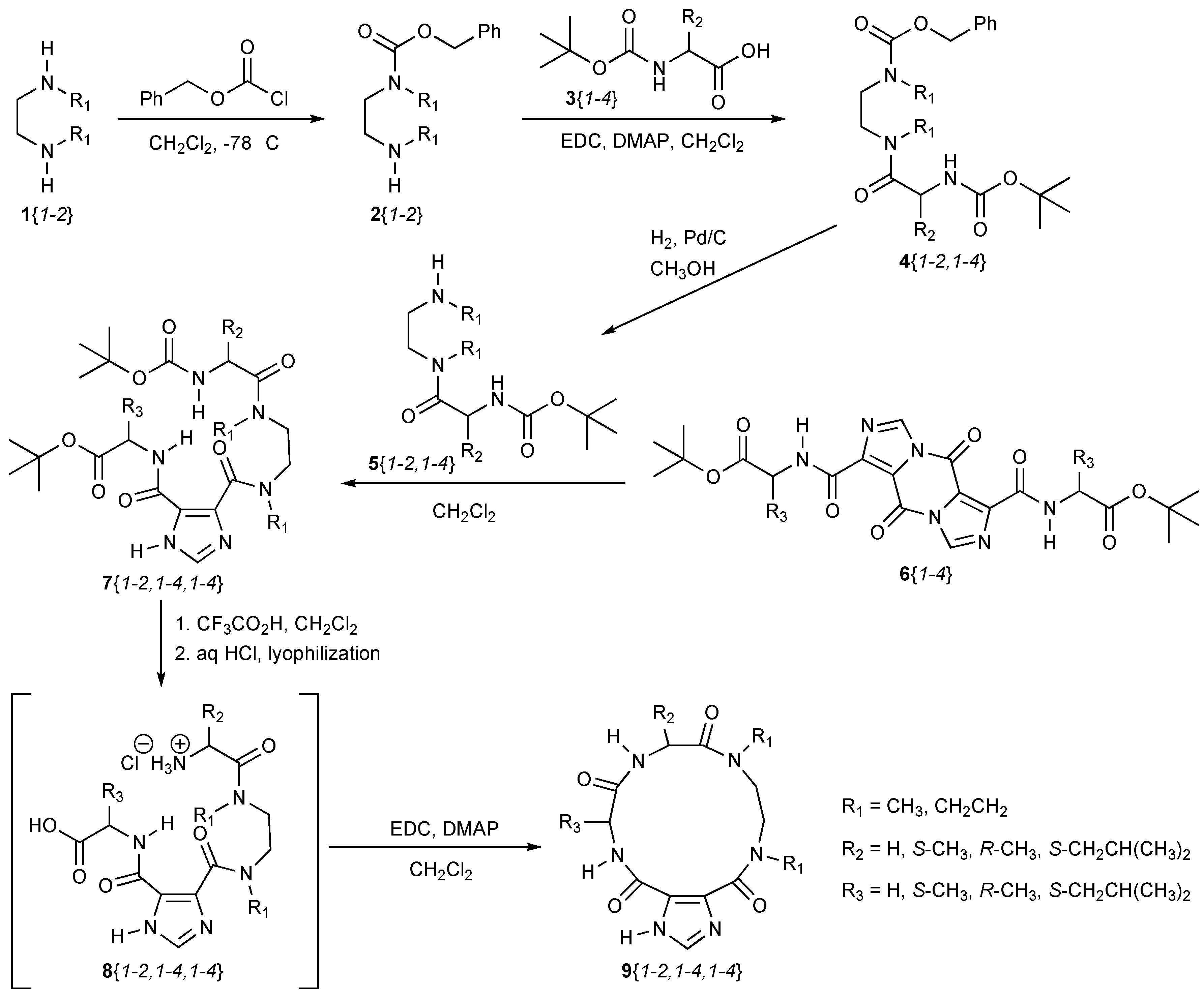 Molecules 17 05346 sch001
