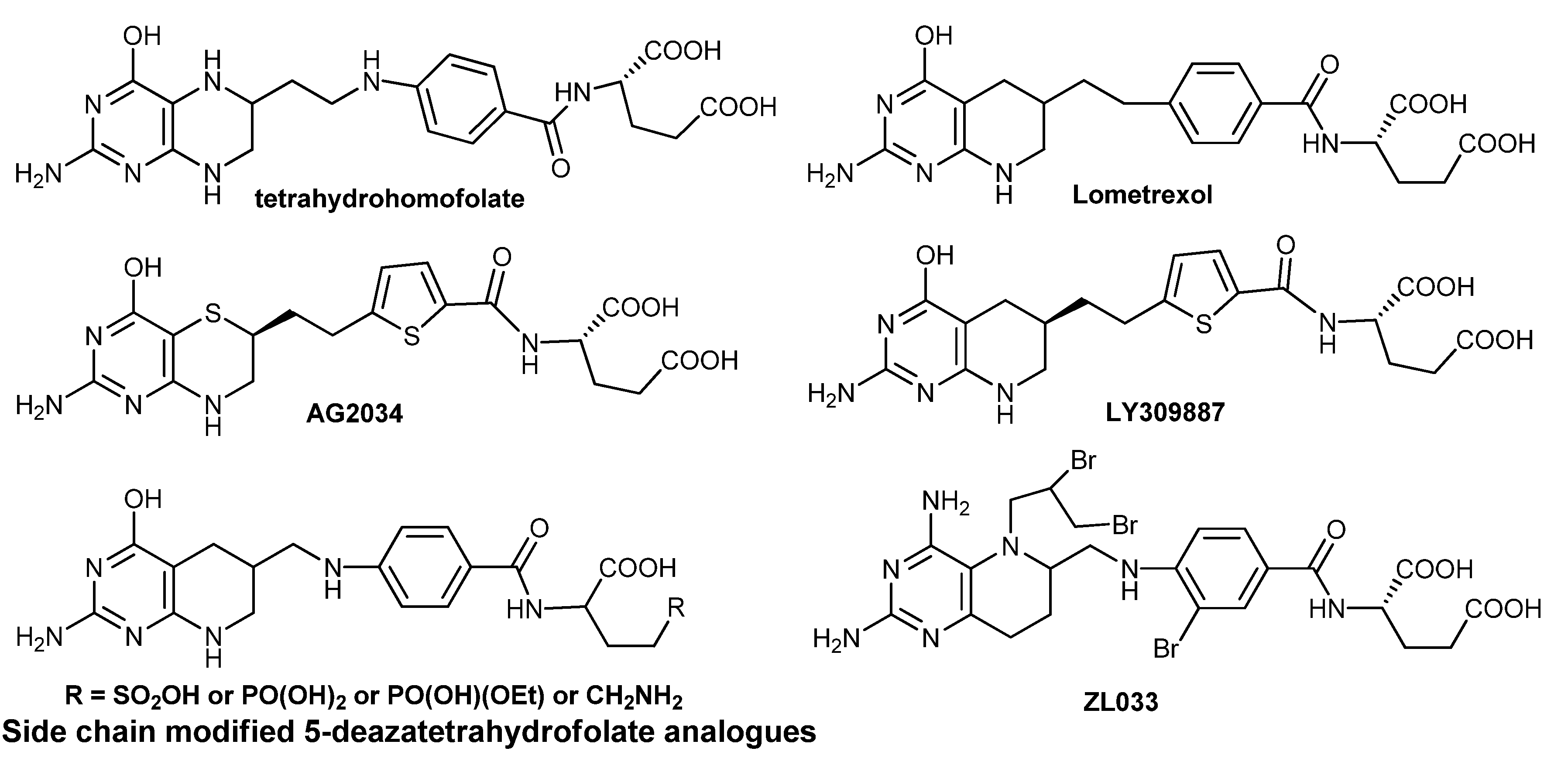 Molecules 17 05604 g001