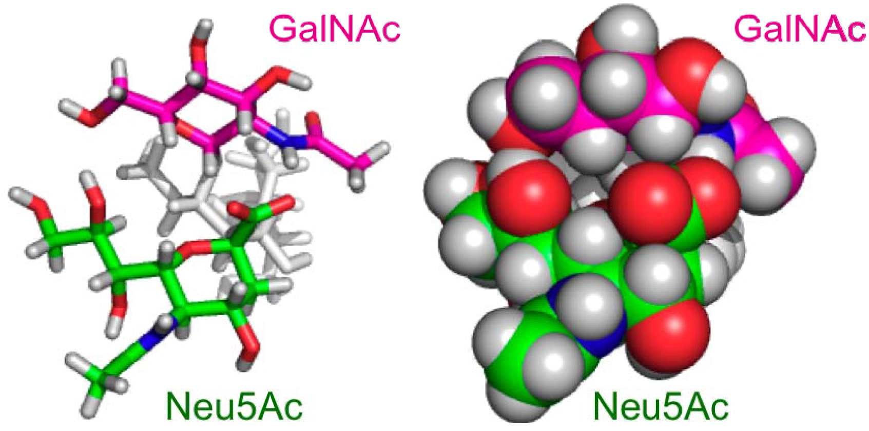 Molecules 17 06658 g005