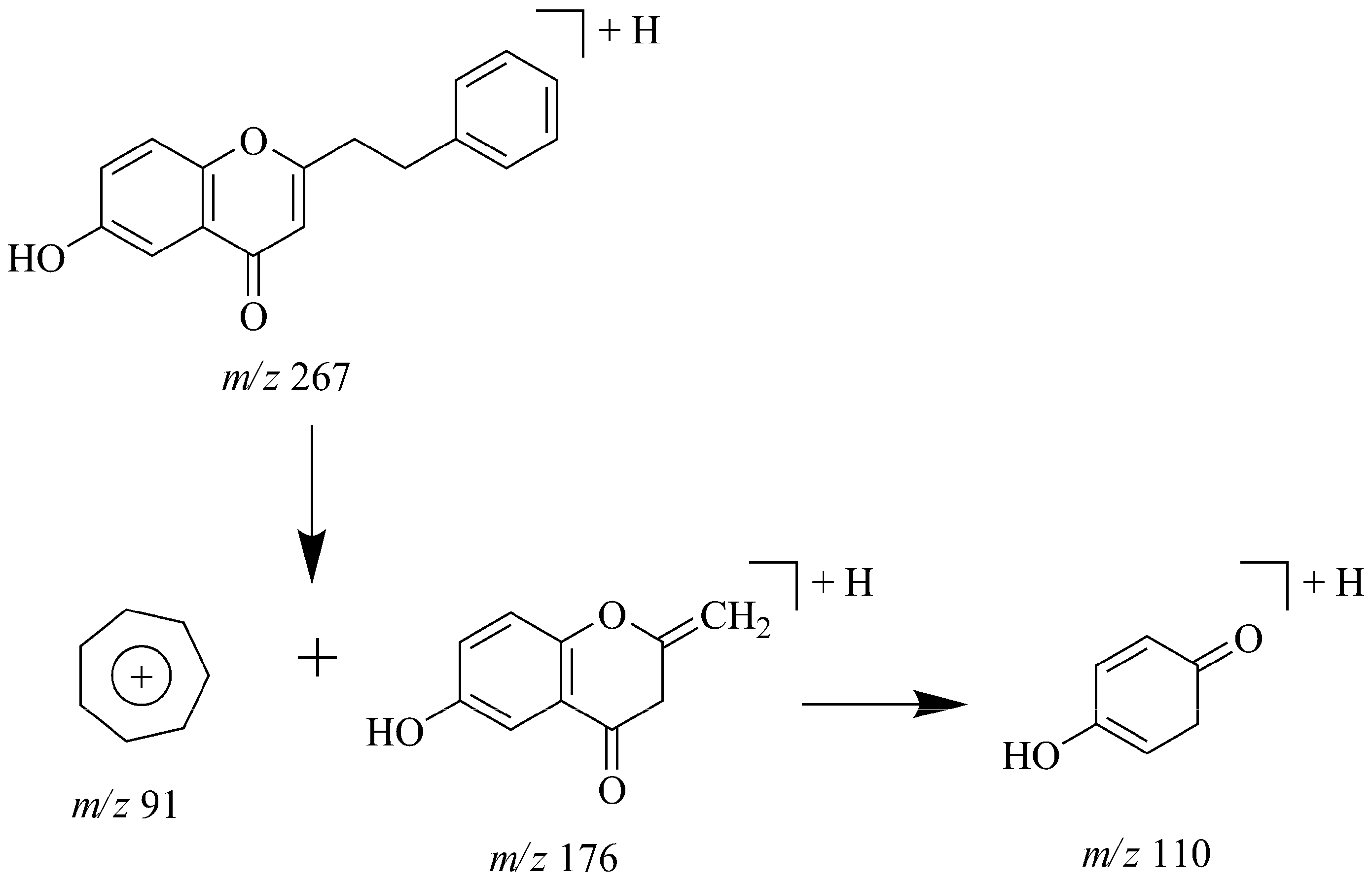 Molecules 17 10470 g005