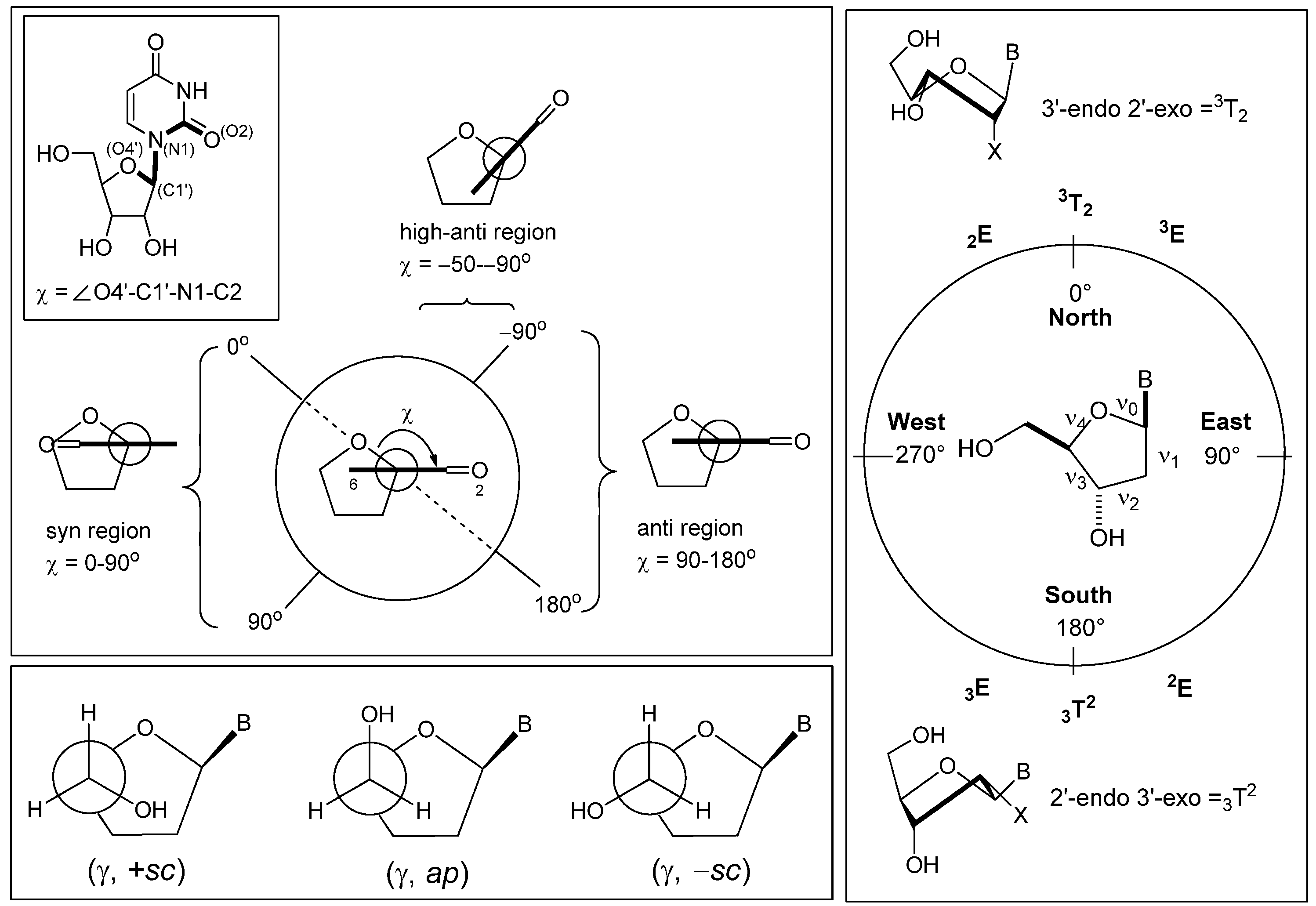 Molecules 17 11630 g001