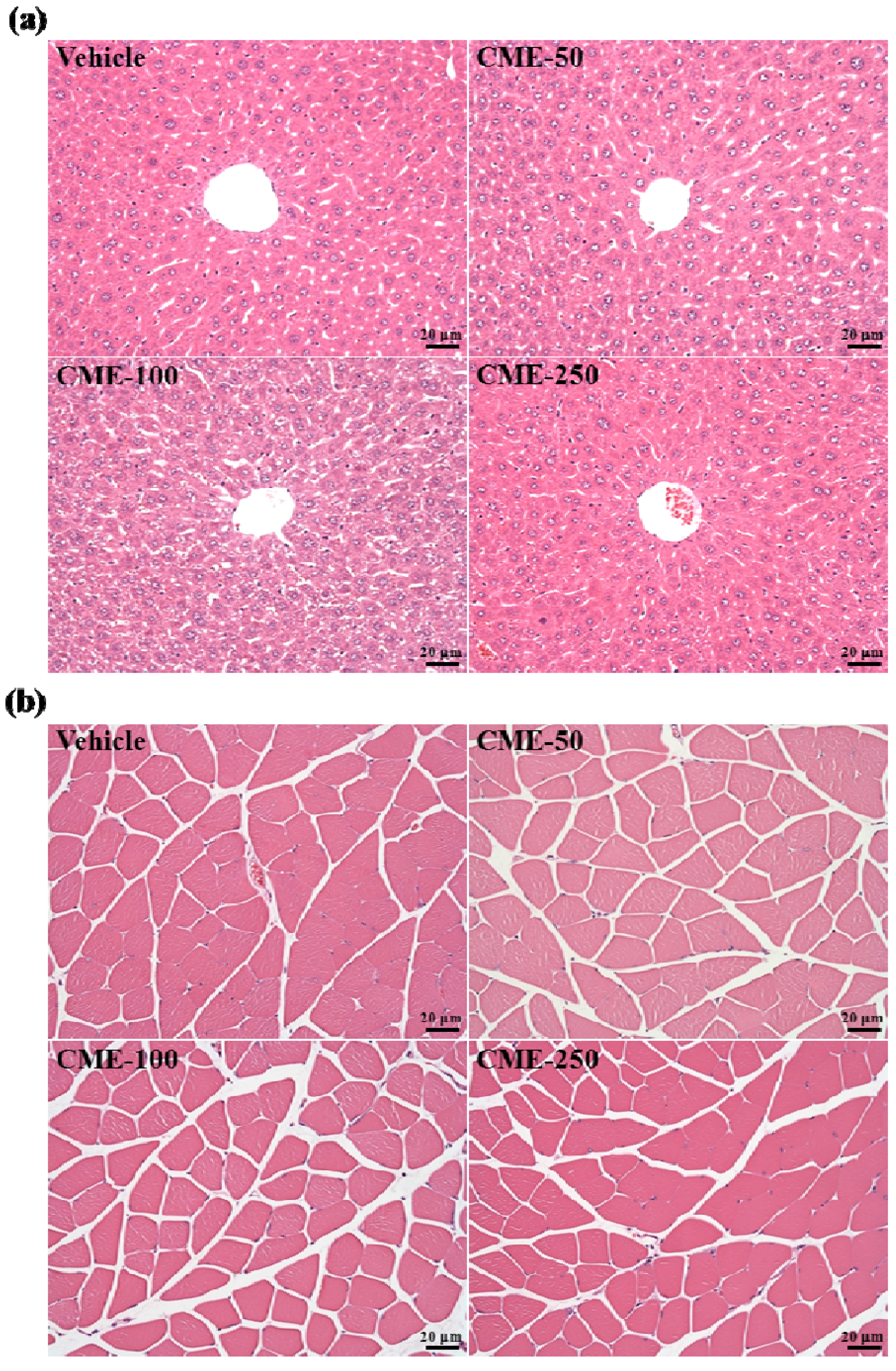 Molecules 17 11864 g005