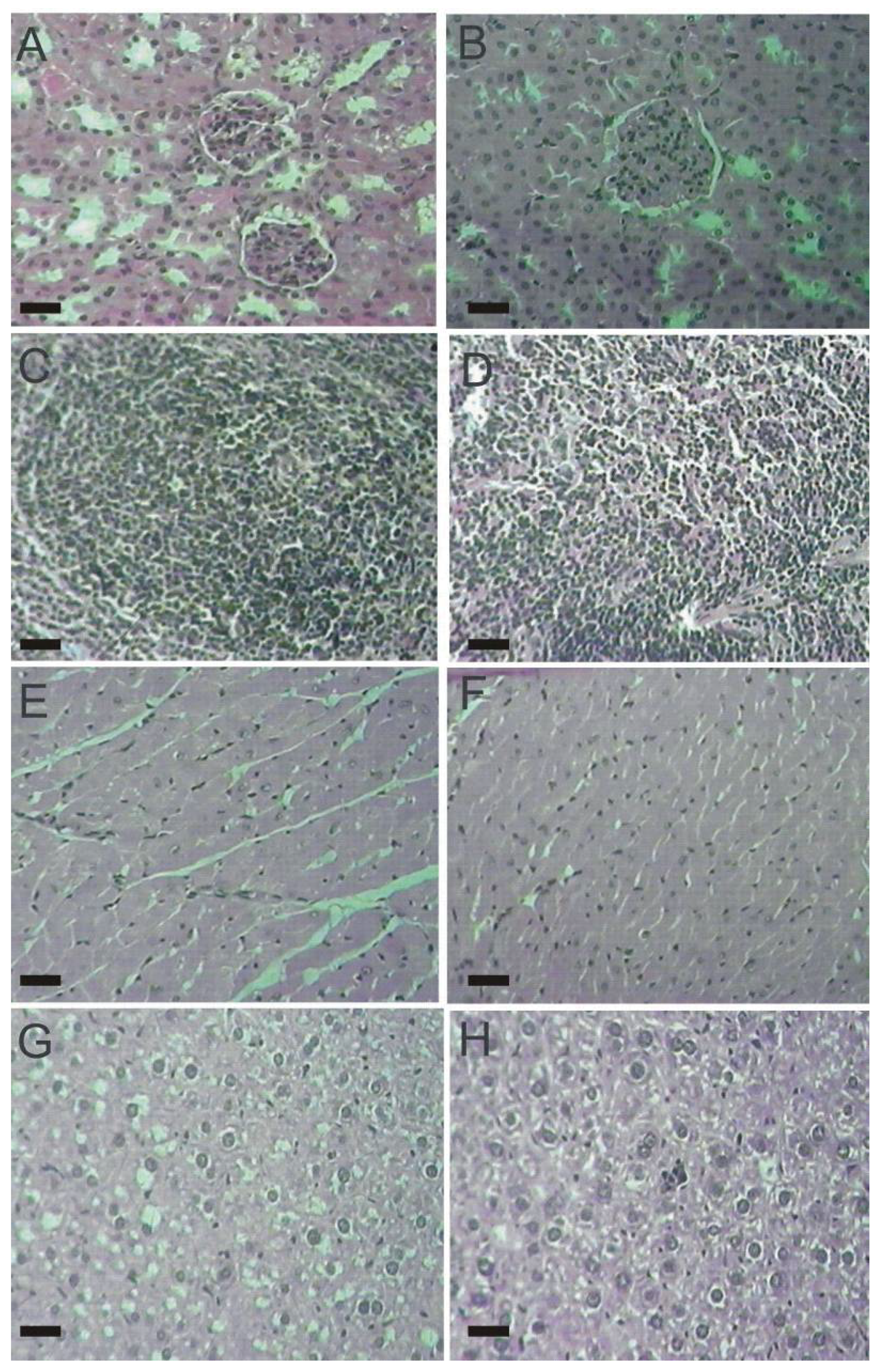 Molecules 17 14298 g005