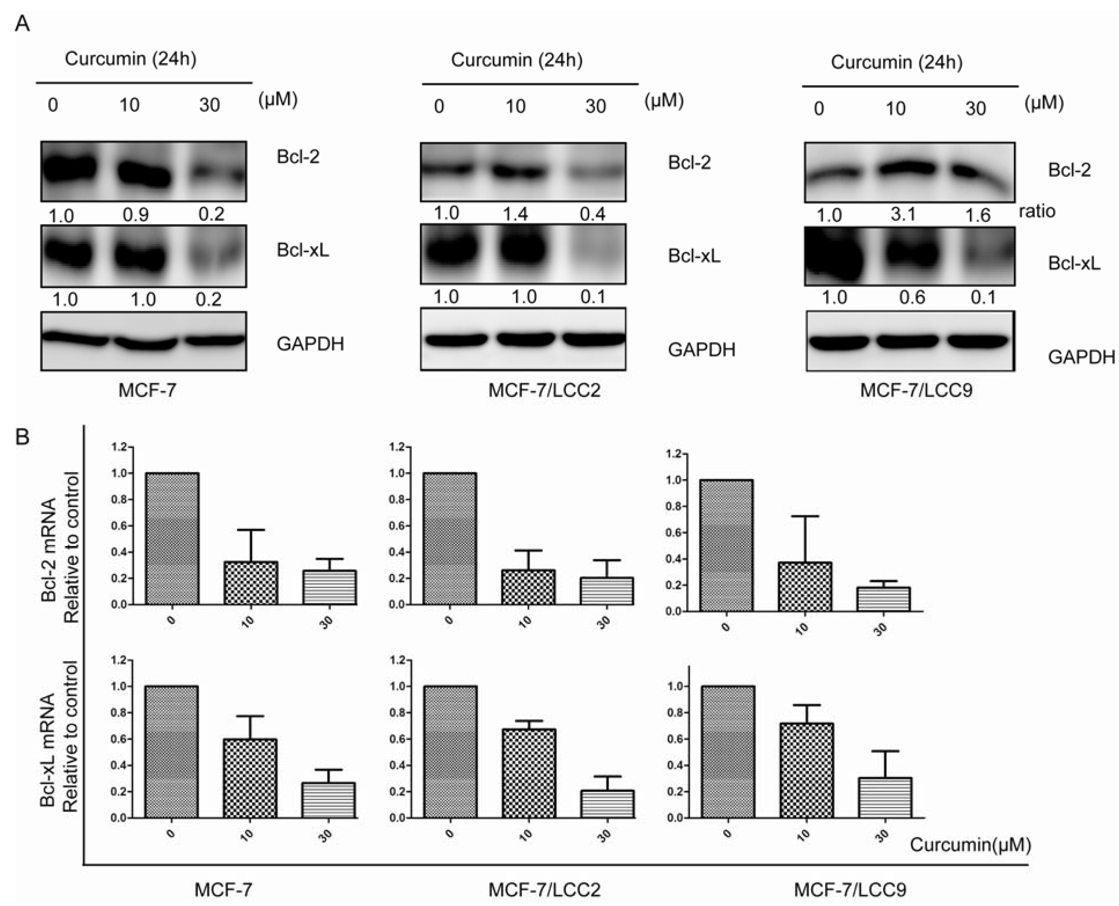 Molecules 18 00701 g006