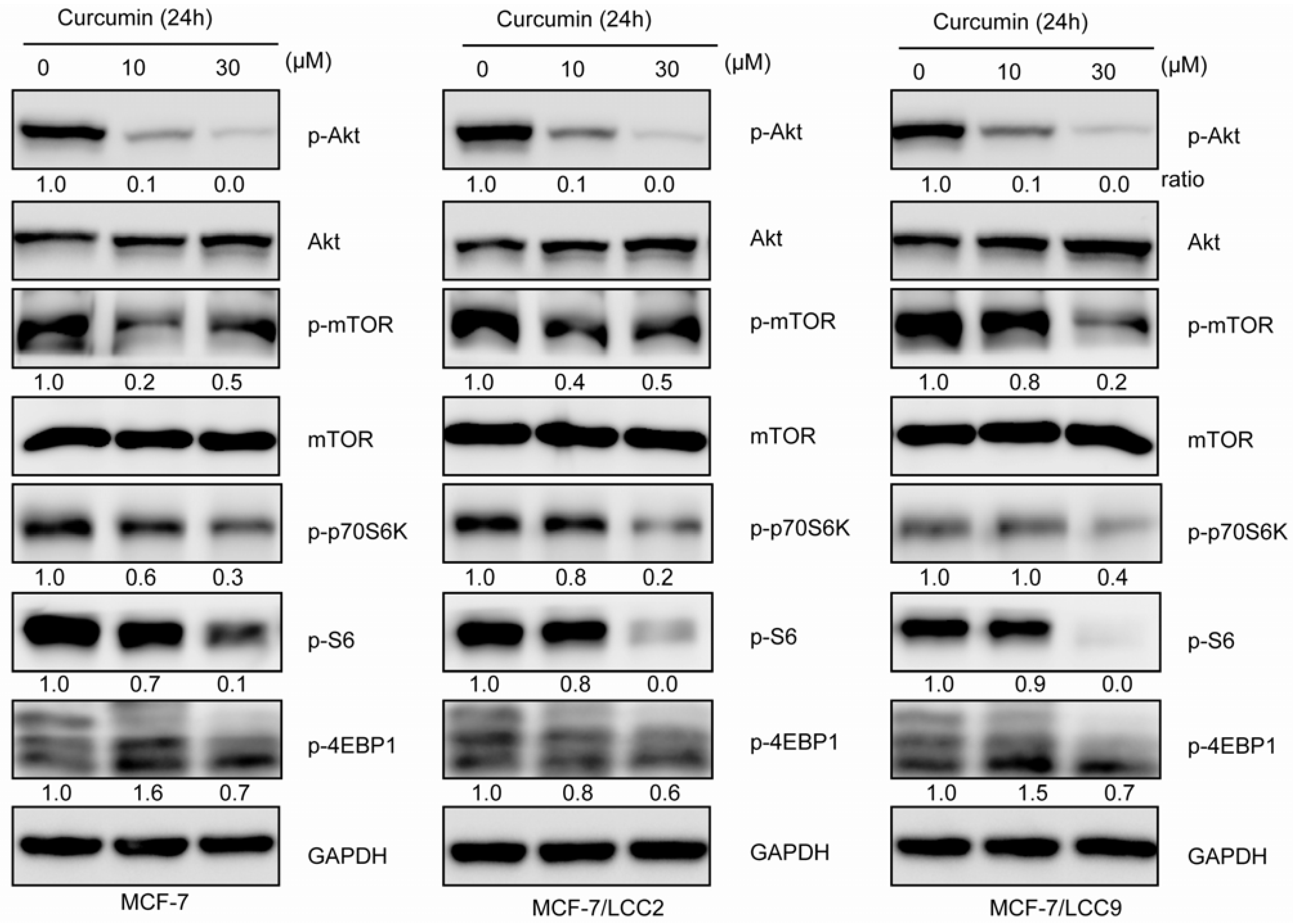 Molecules 18 00701 g009