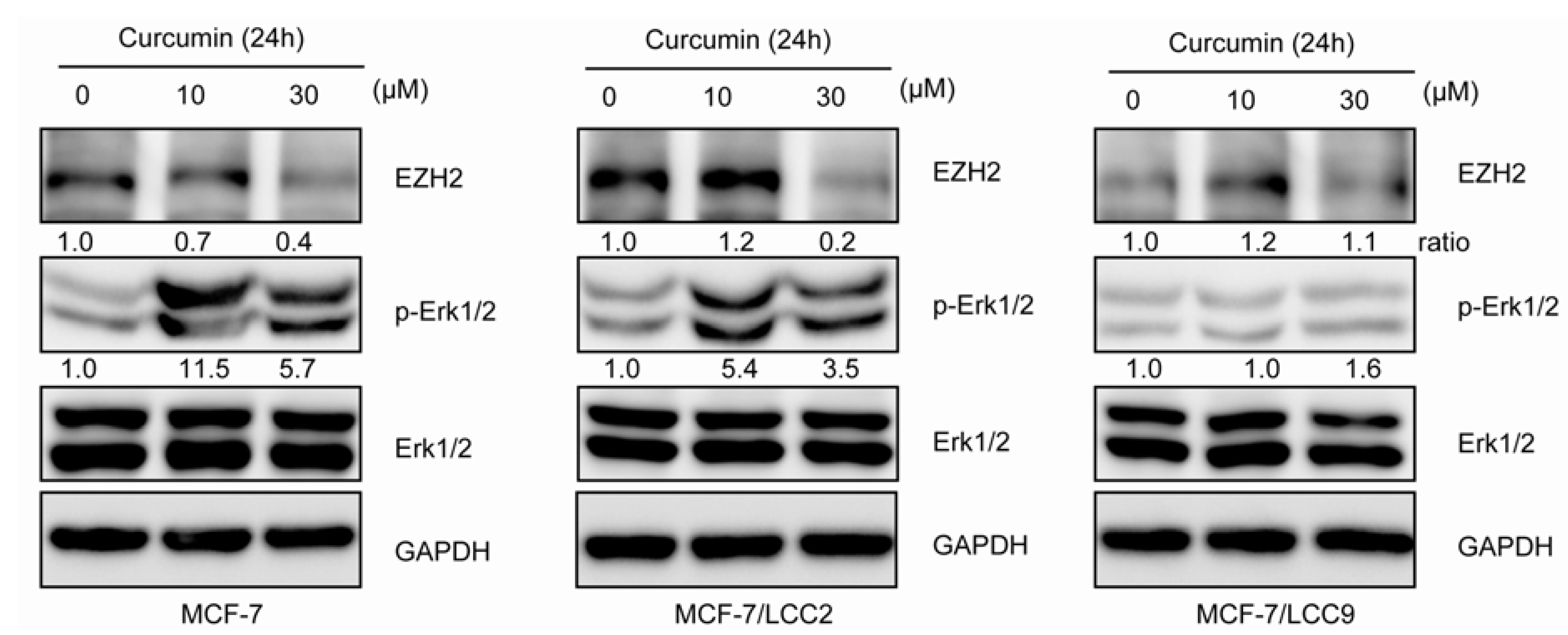 Molecules 18 00701 g010