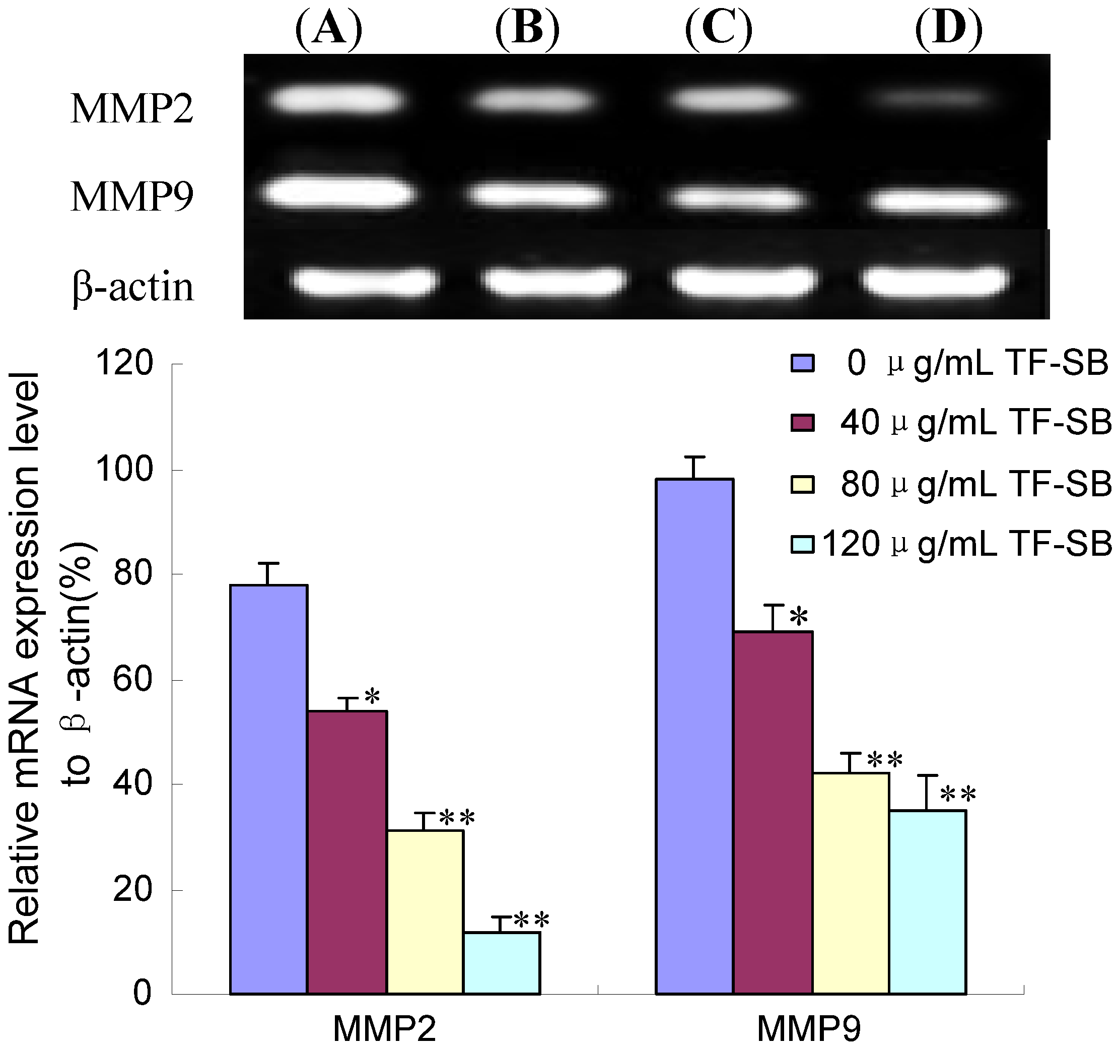 Molecules 18 00934 g004