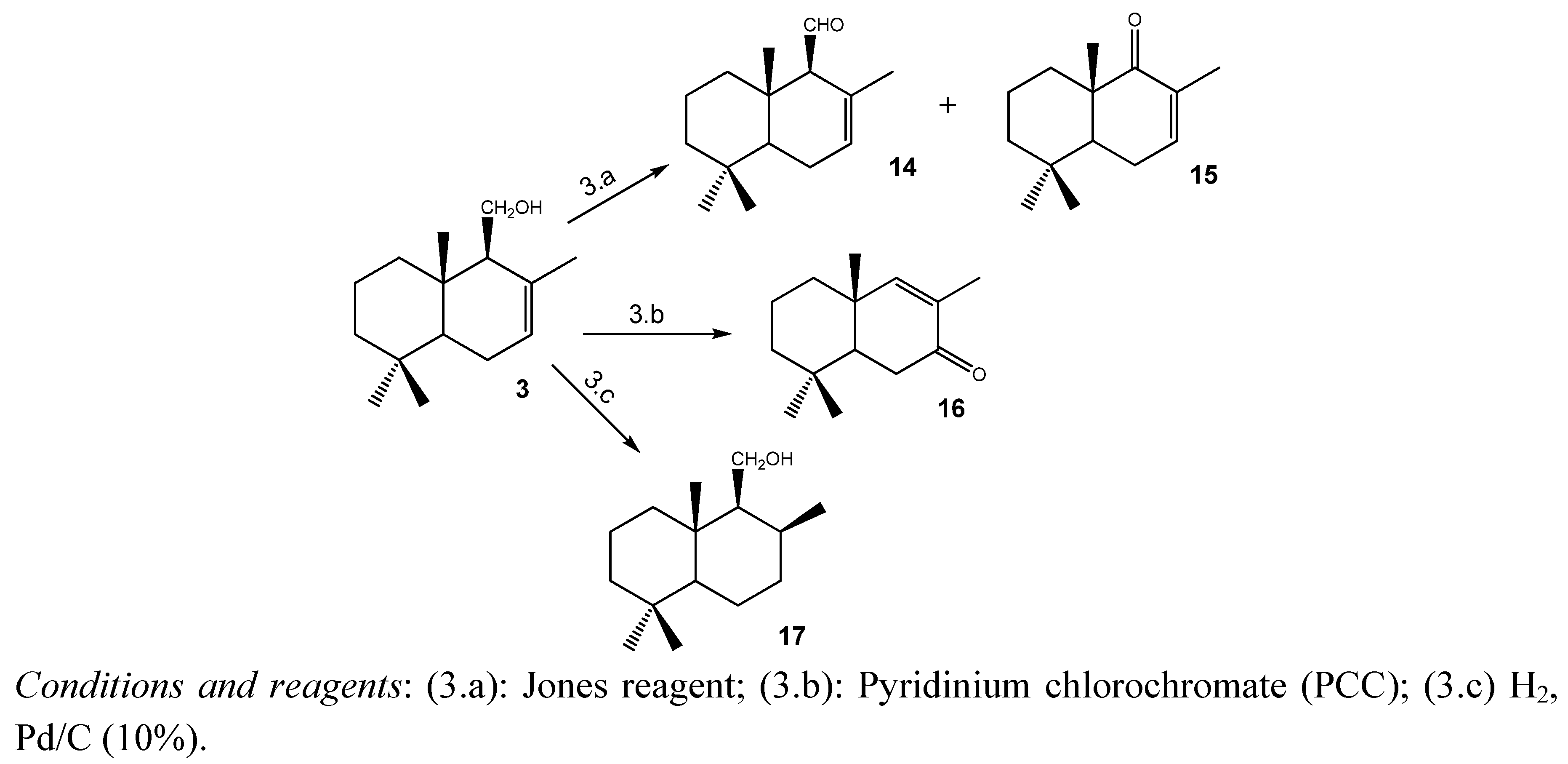Molecules 18 02029 g008