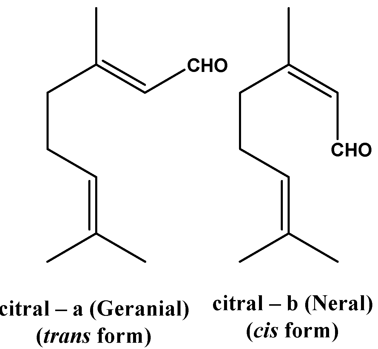 Latest Real CIS-CPG Exam