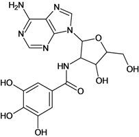 Molecules 18 05032 i024