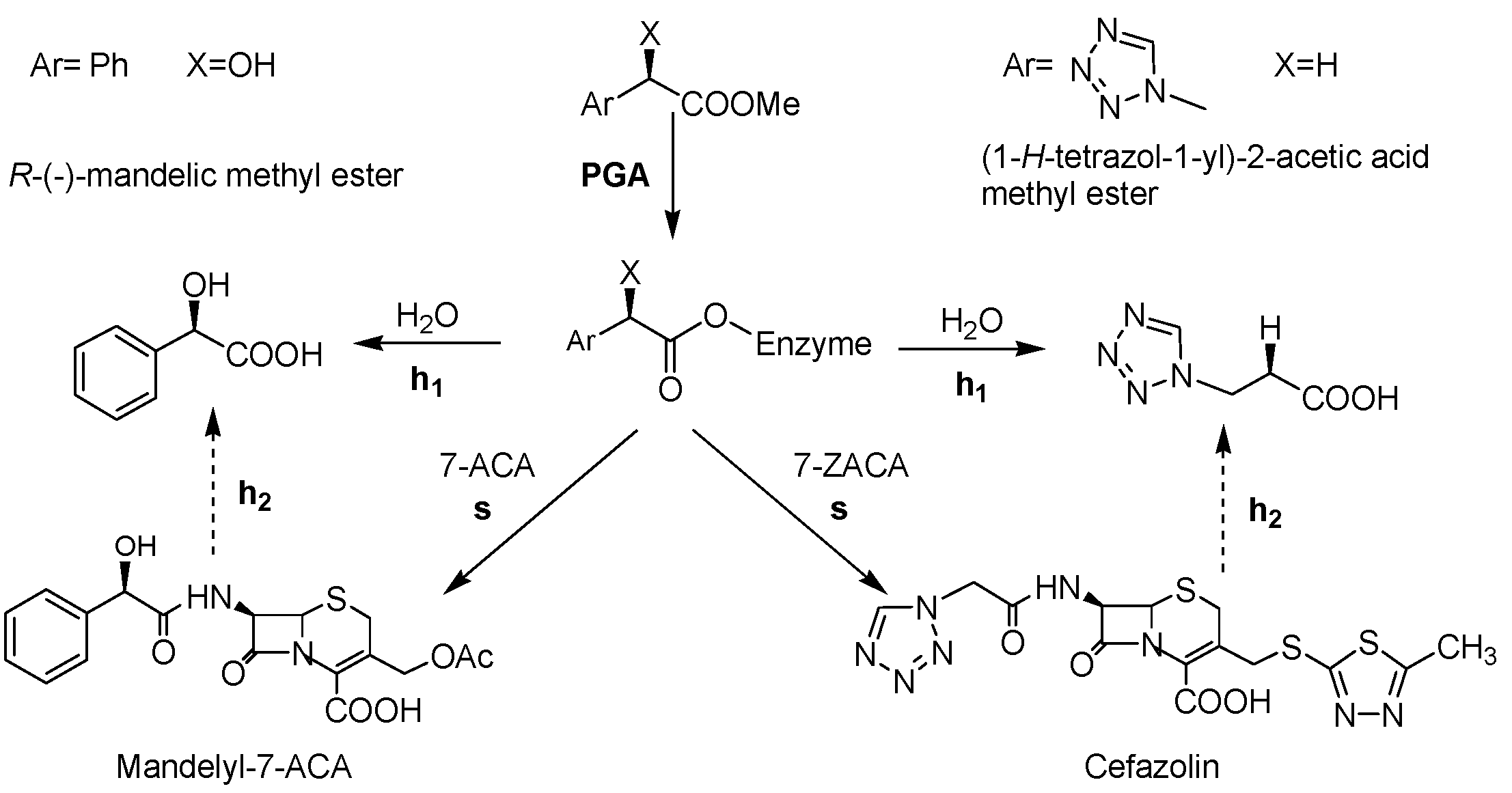 Molecules 18 14349 g007