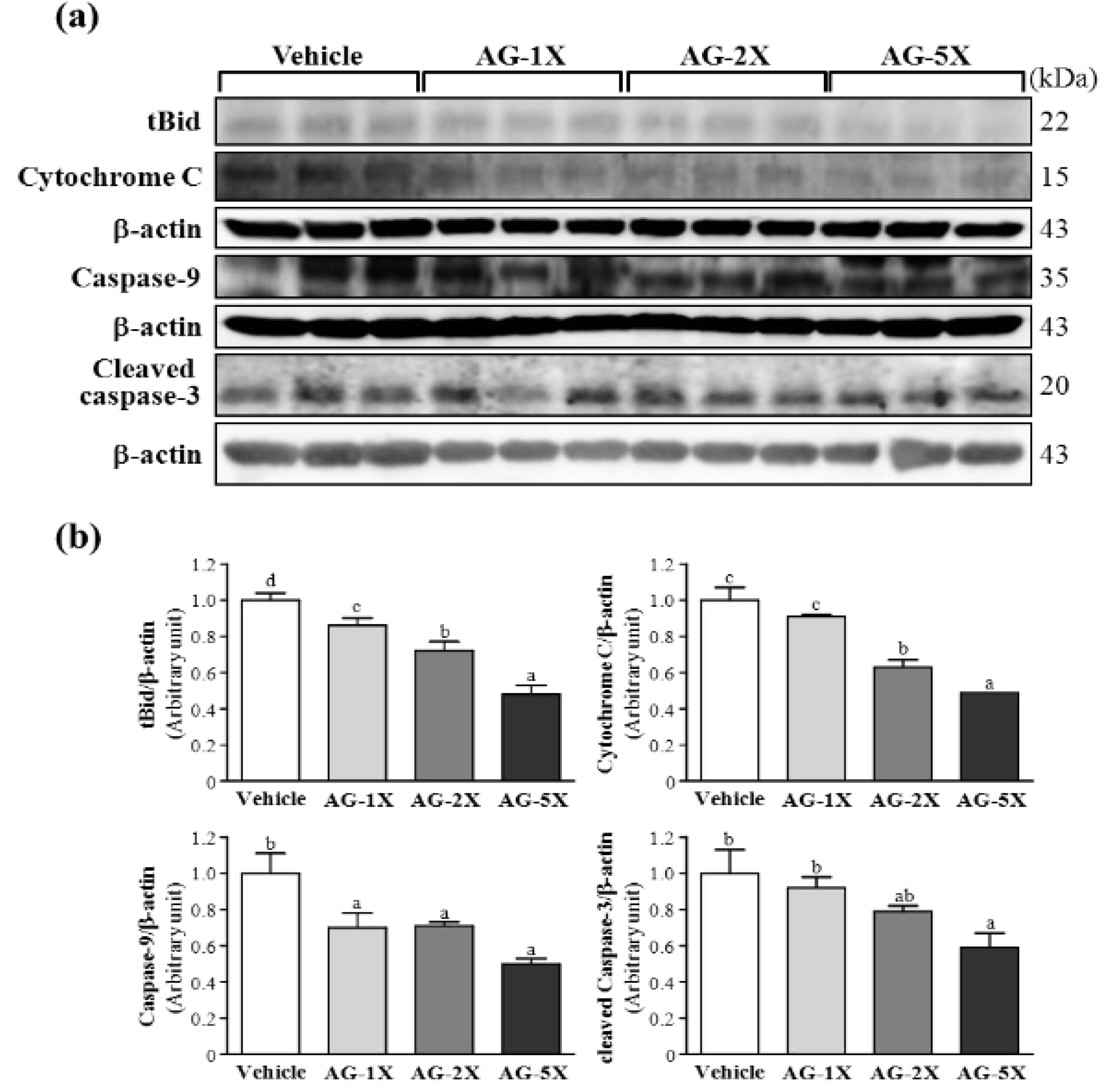 Molecules 19 00316 g005