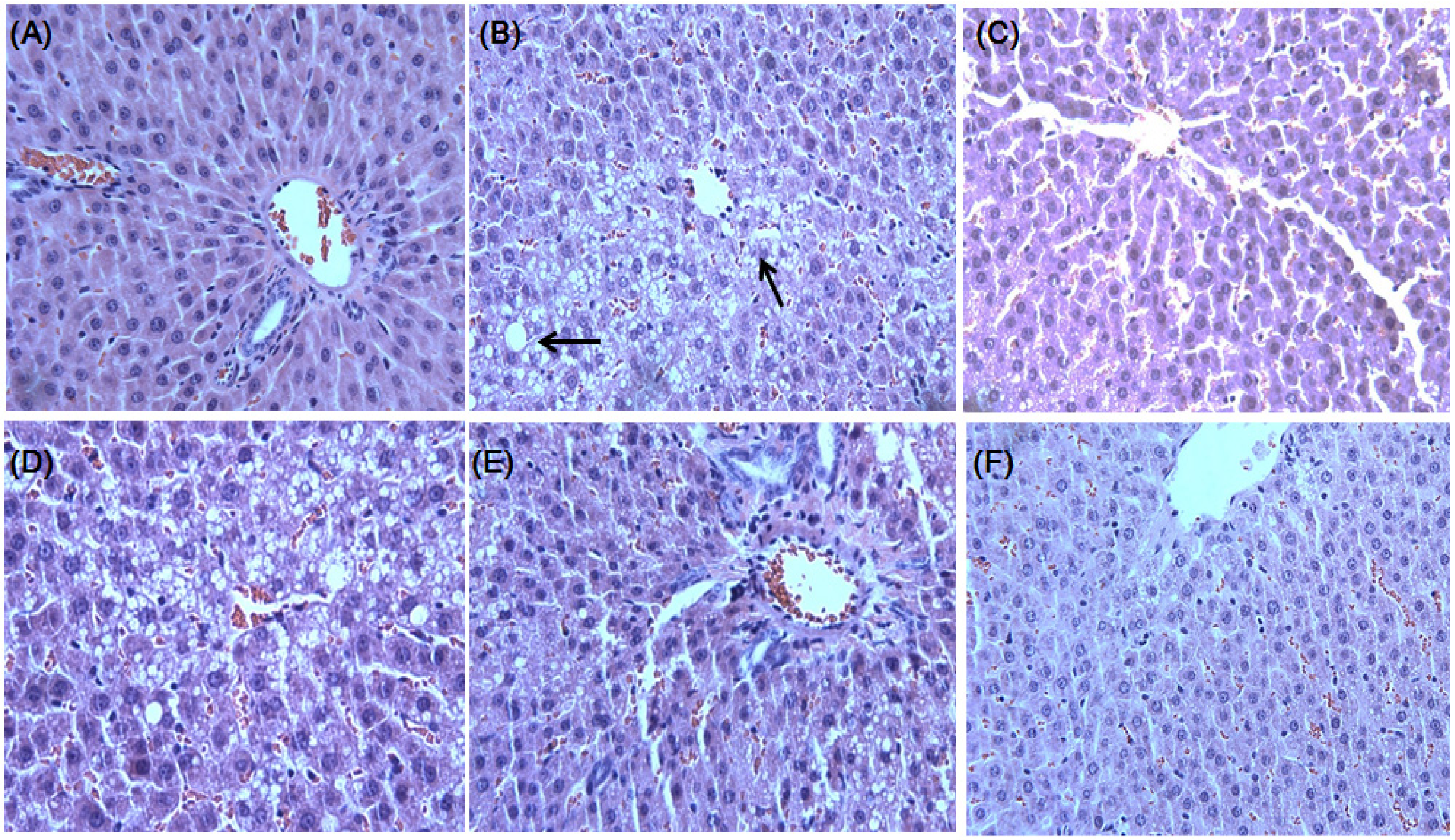 Molecules 19 00783 g003
