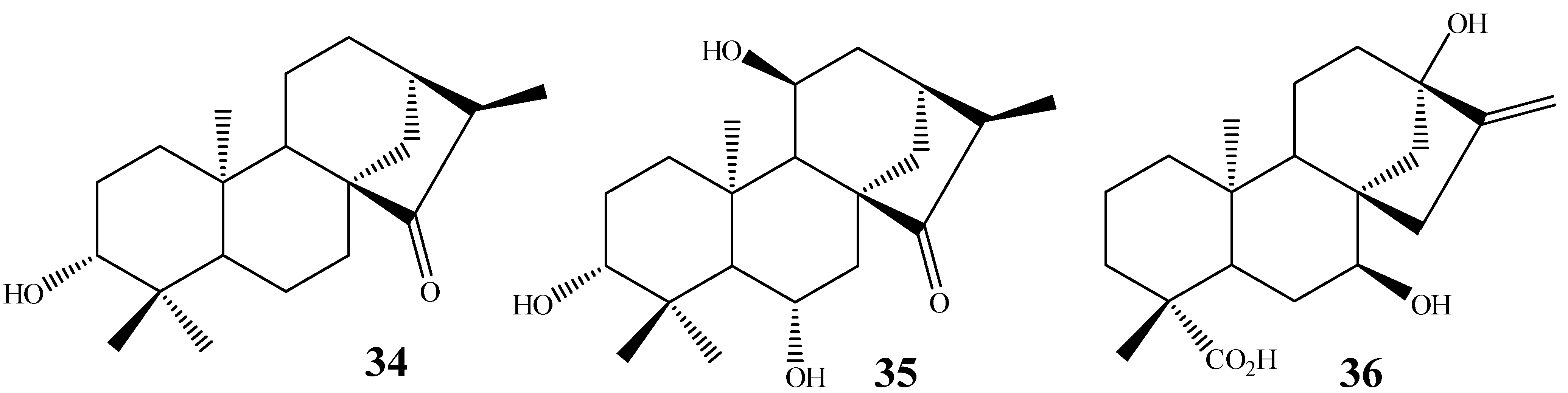 Molecules 19 01856 g011