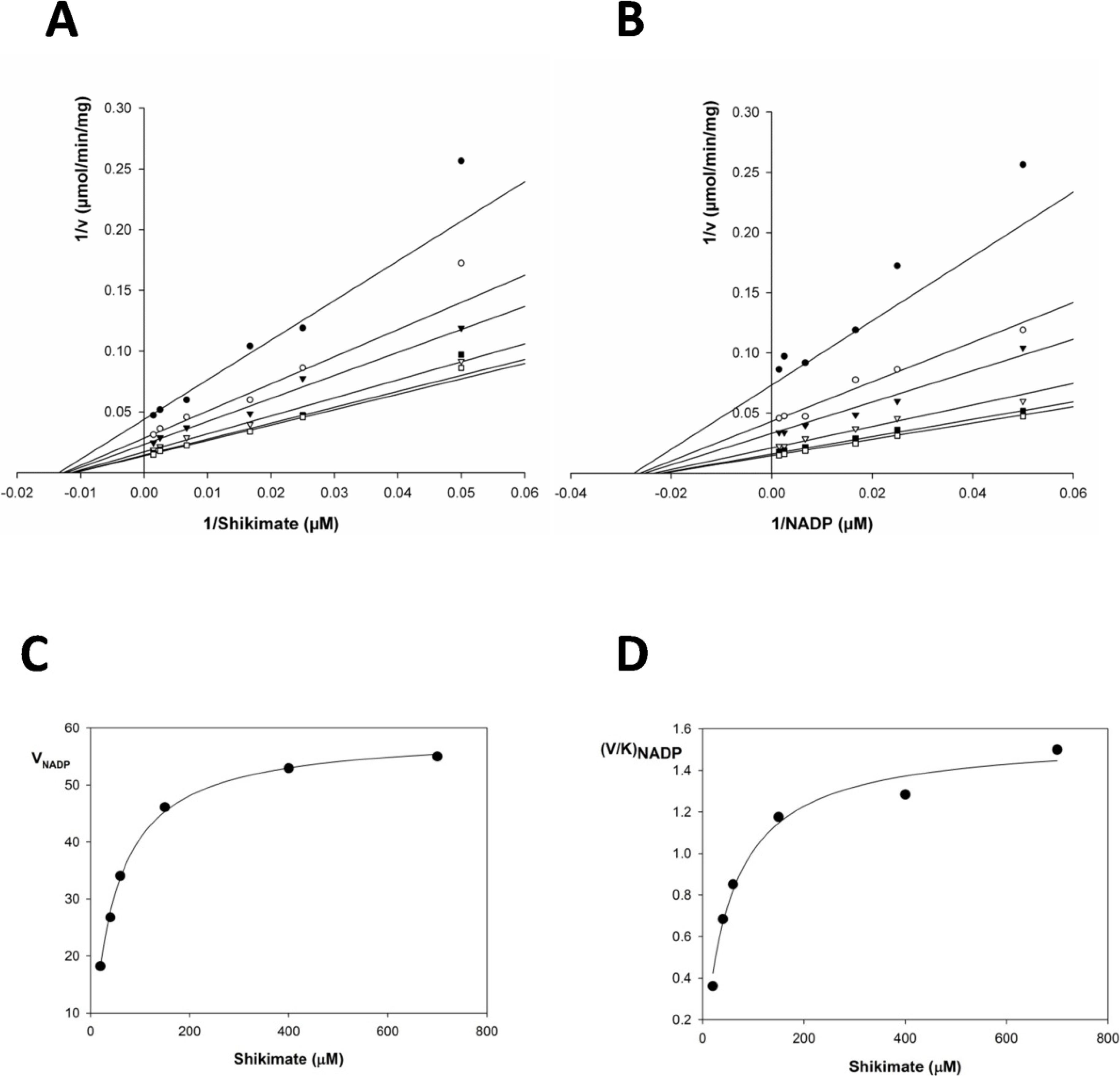 Molecules 19 04491 g002