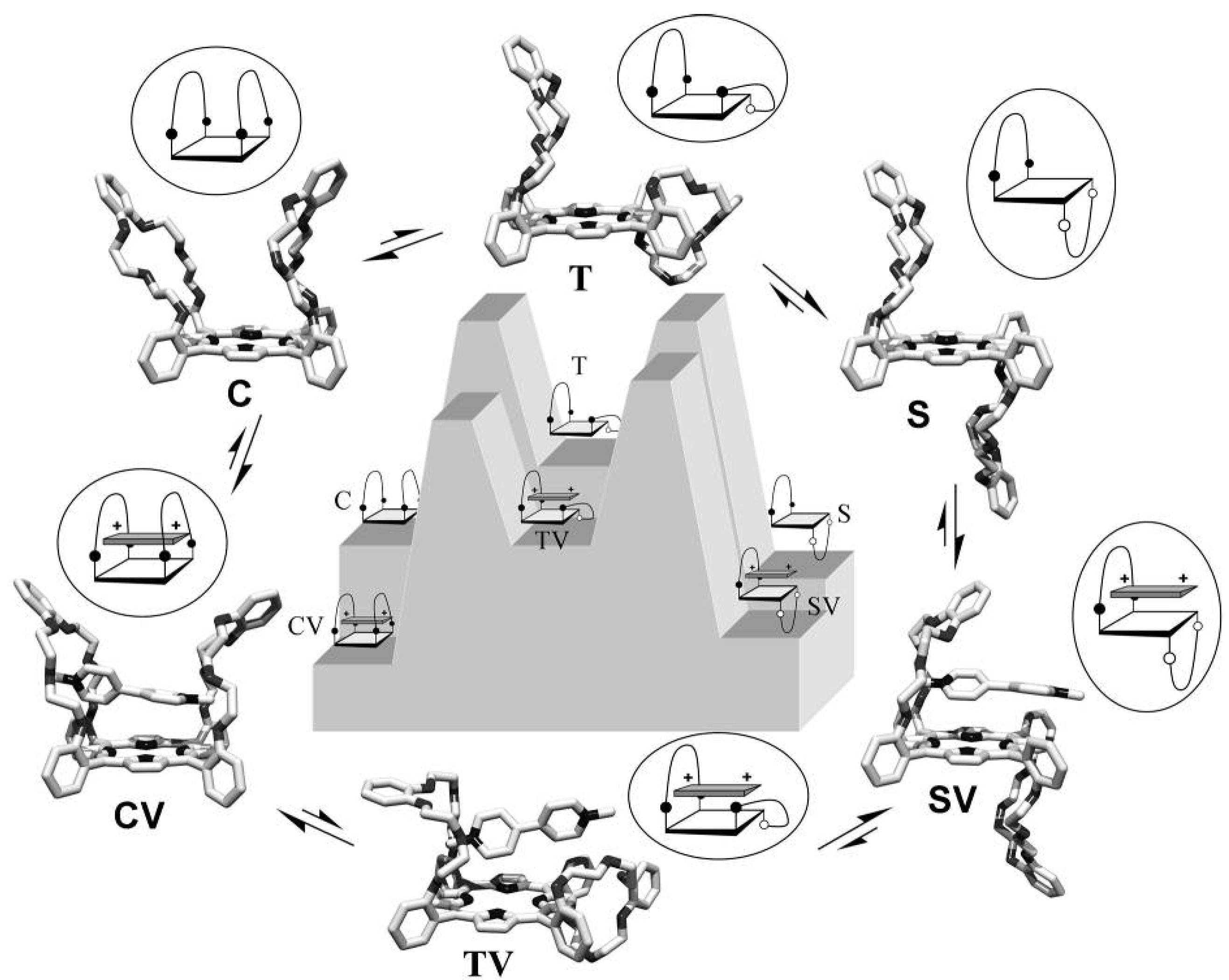 Molecules 19 05278 g010