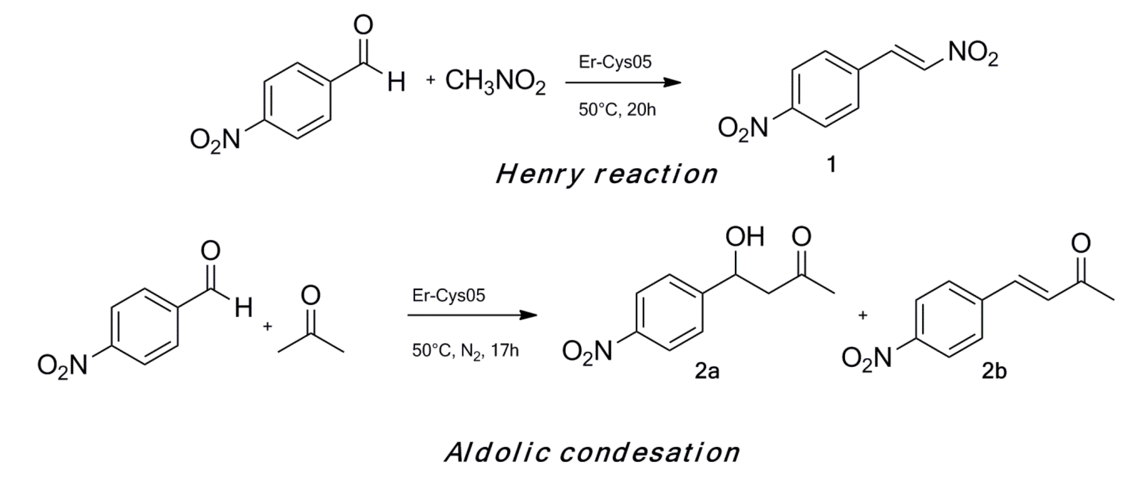 Molecules 19 10218 g005