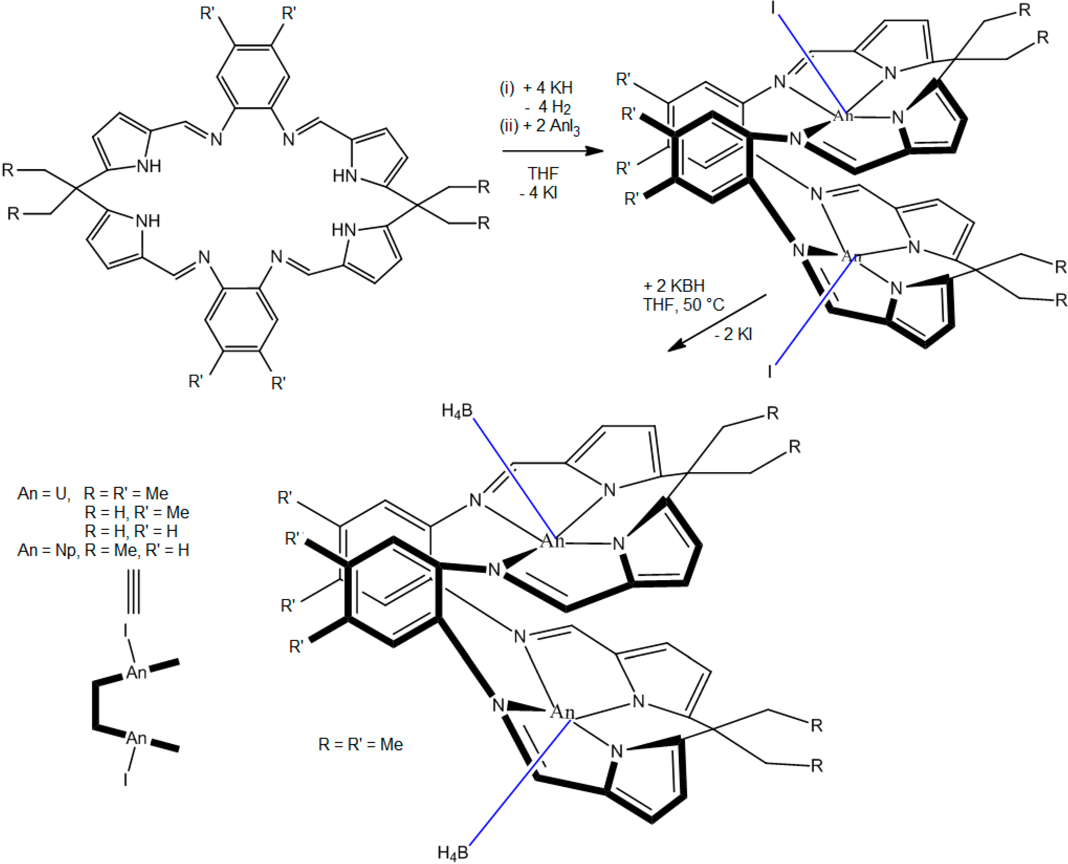 Molecules 19 10755 g039