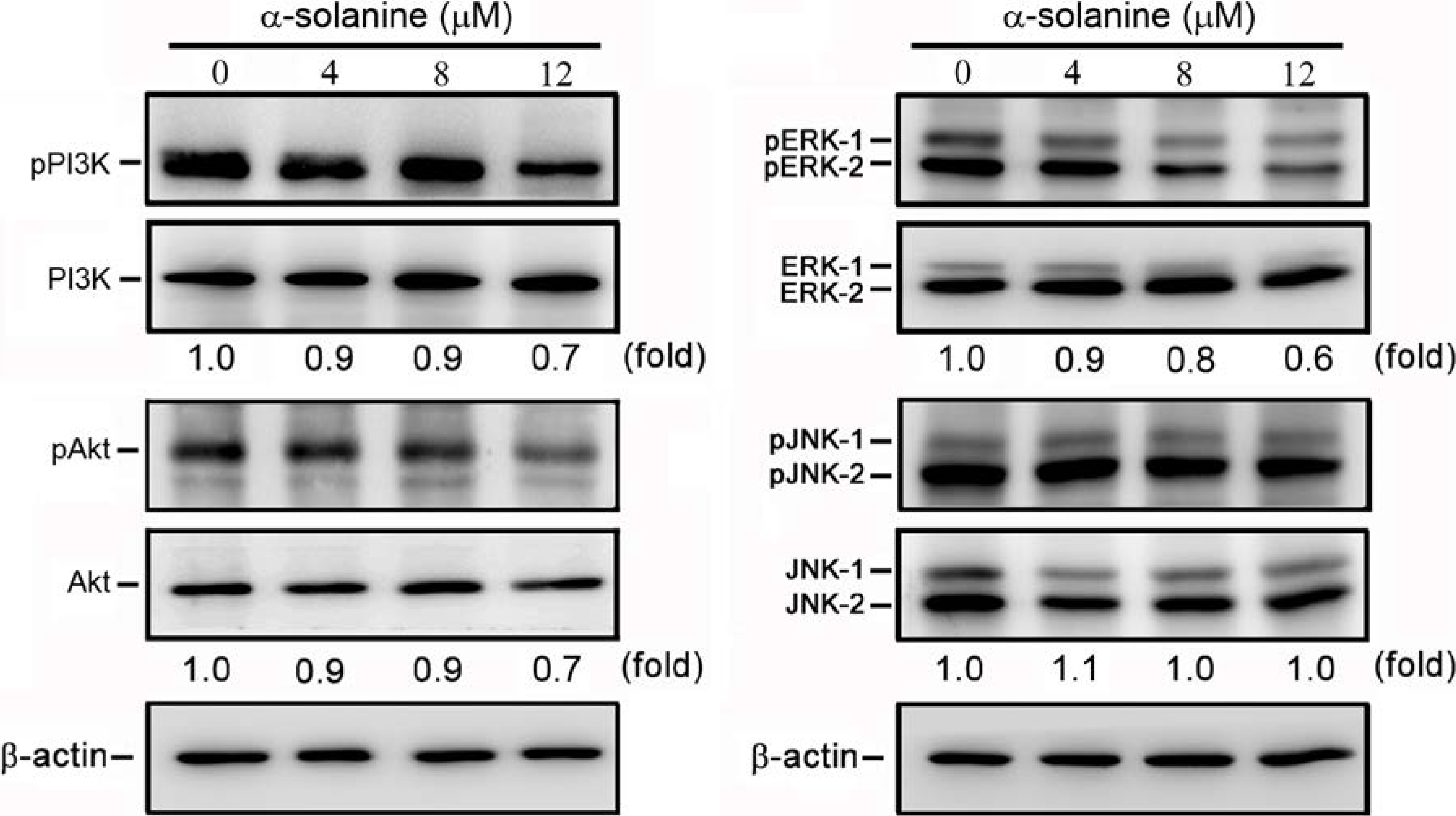 Molecules 19 11896 g006